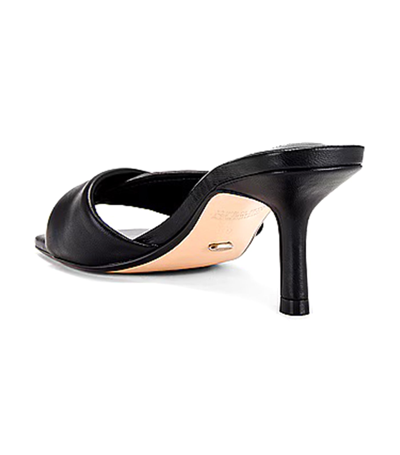 Alexa Black