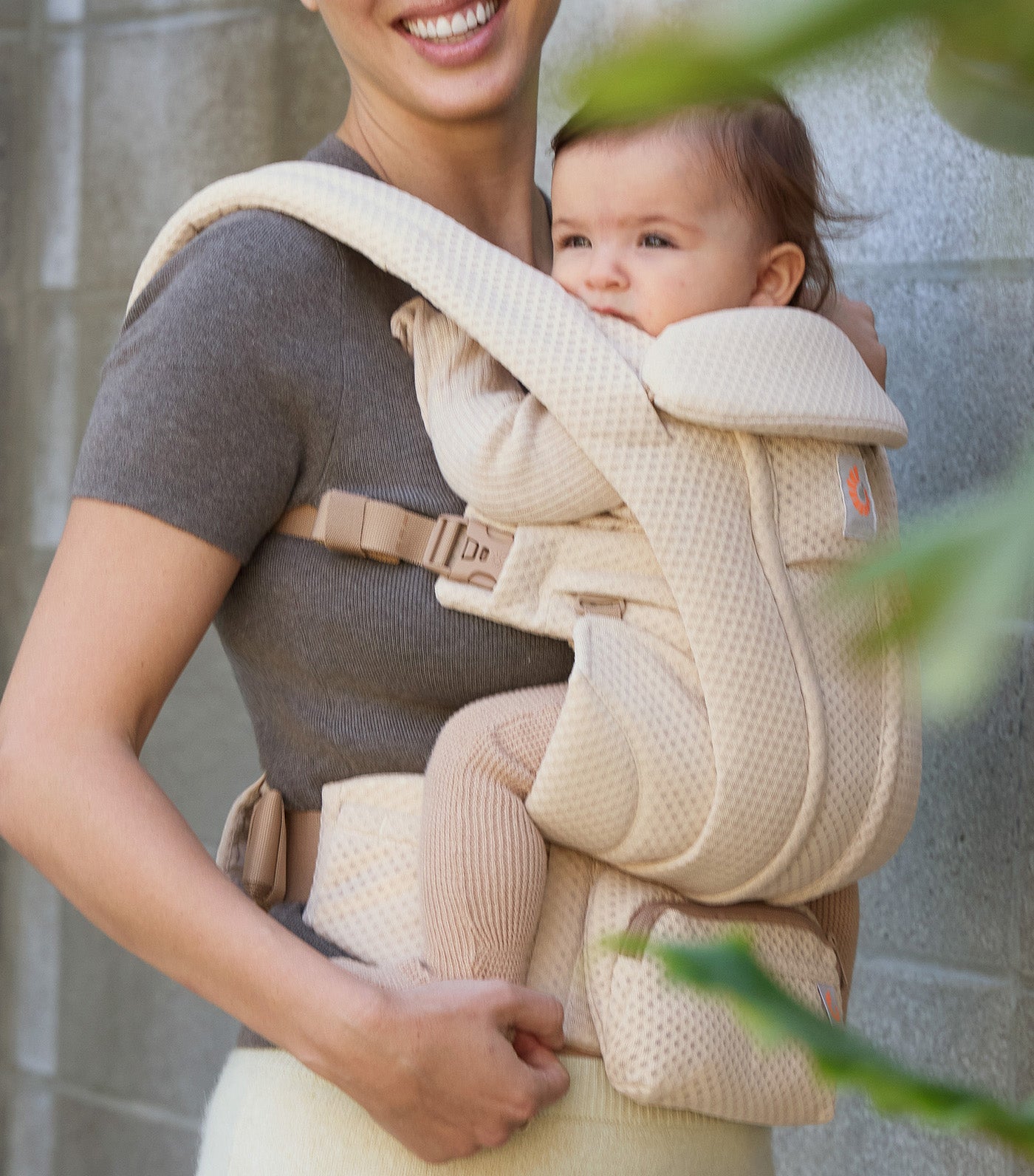Omni Deluxe Mesh Carrier