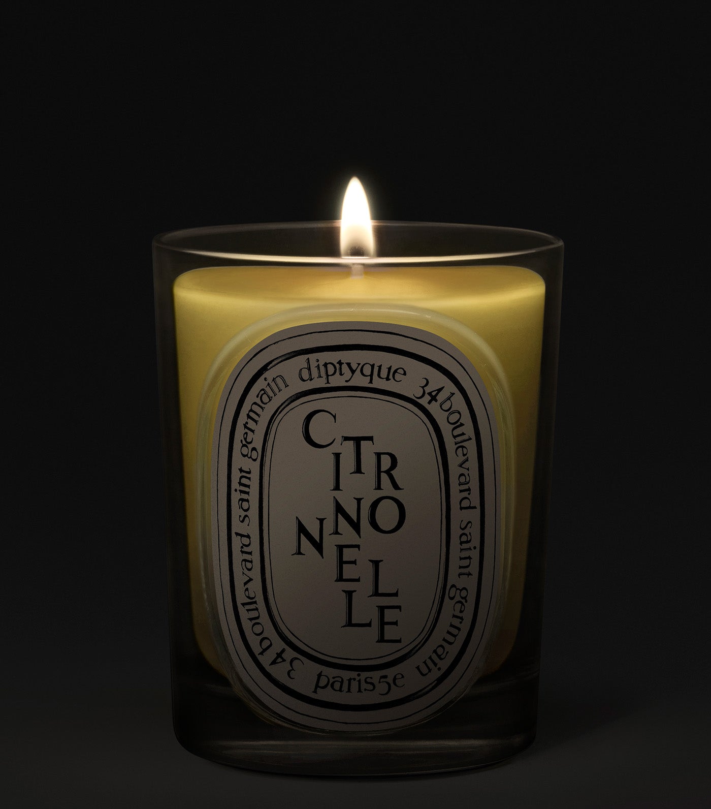 Citronnelle (Lemongrass) Candle
