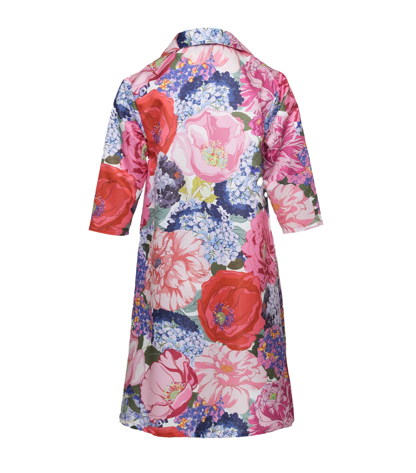 Ava Collared Buttondown Dress