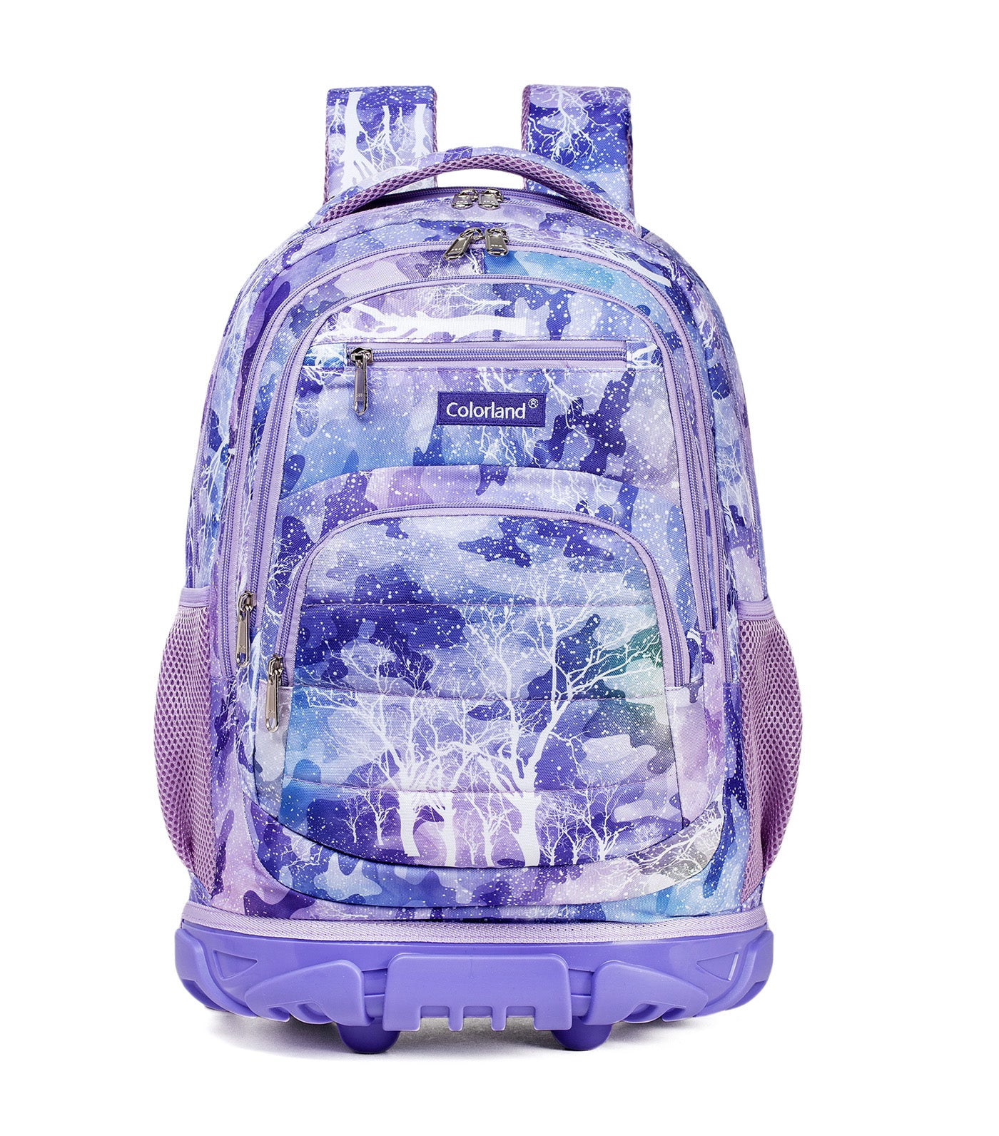 Smart 2-in-1 School Troller Backpack