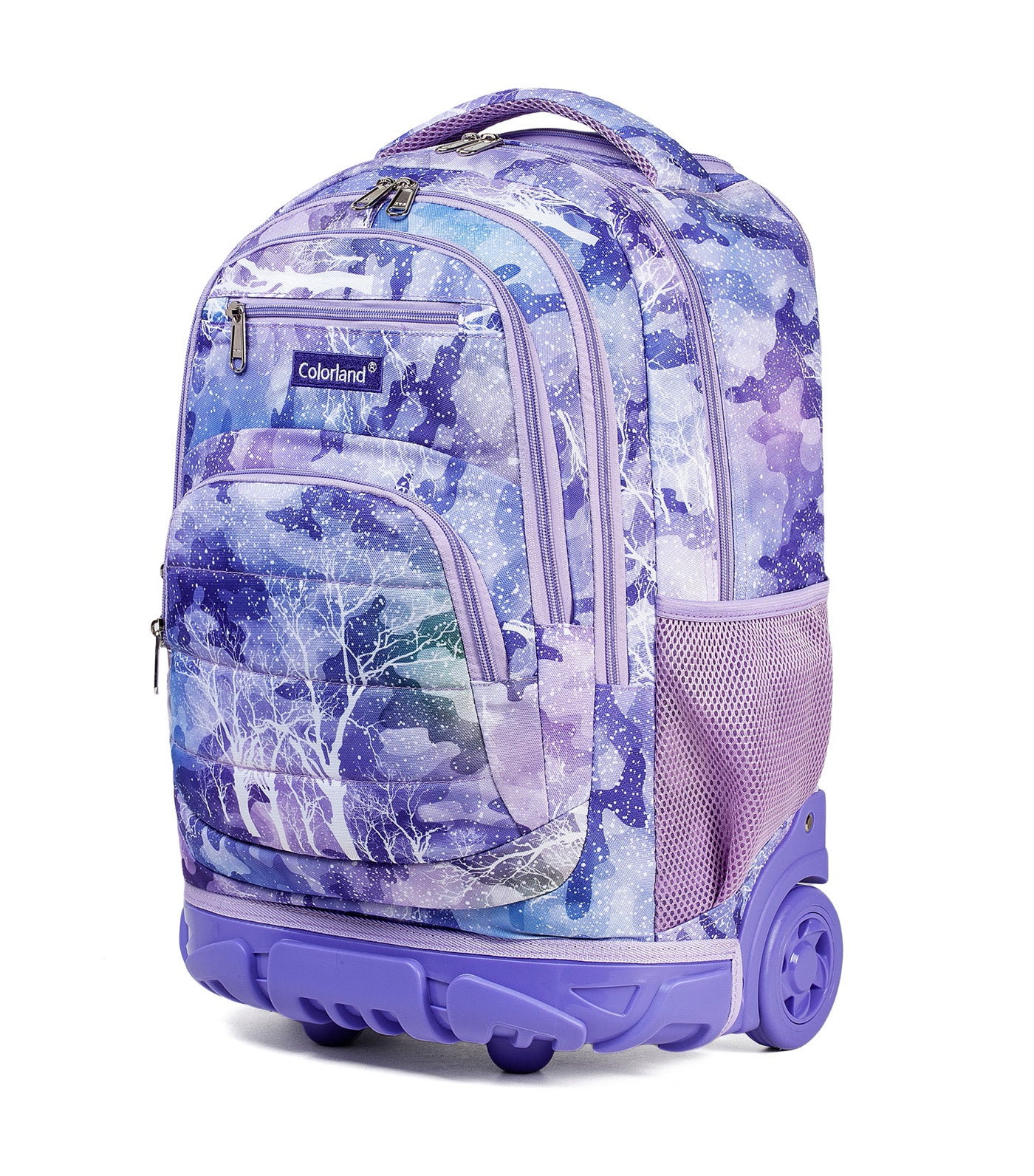 Smart 2-in-1 School Troller Backpack