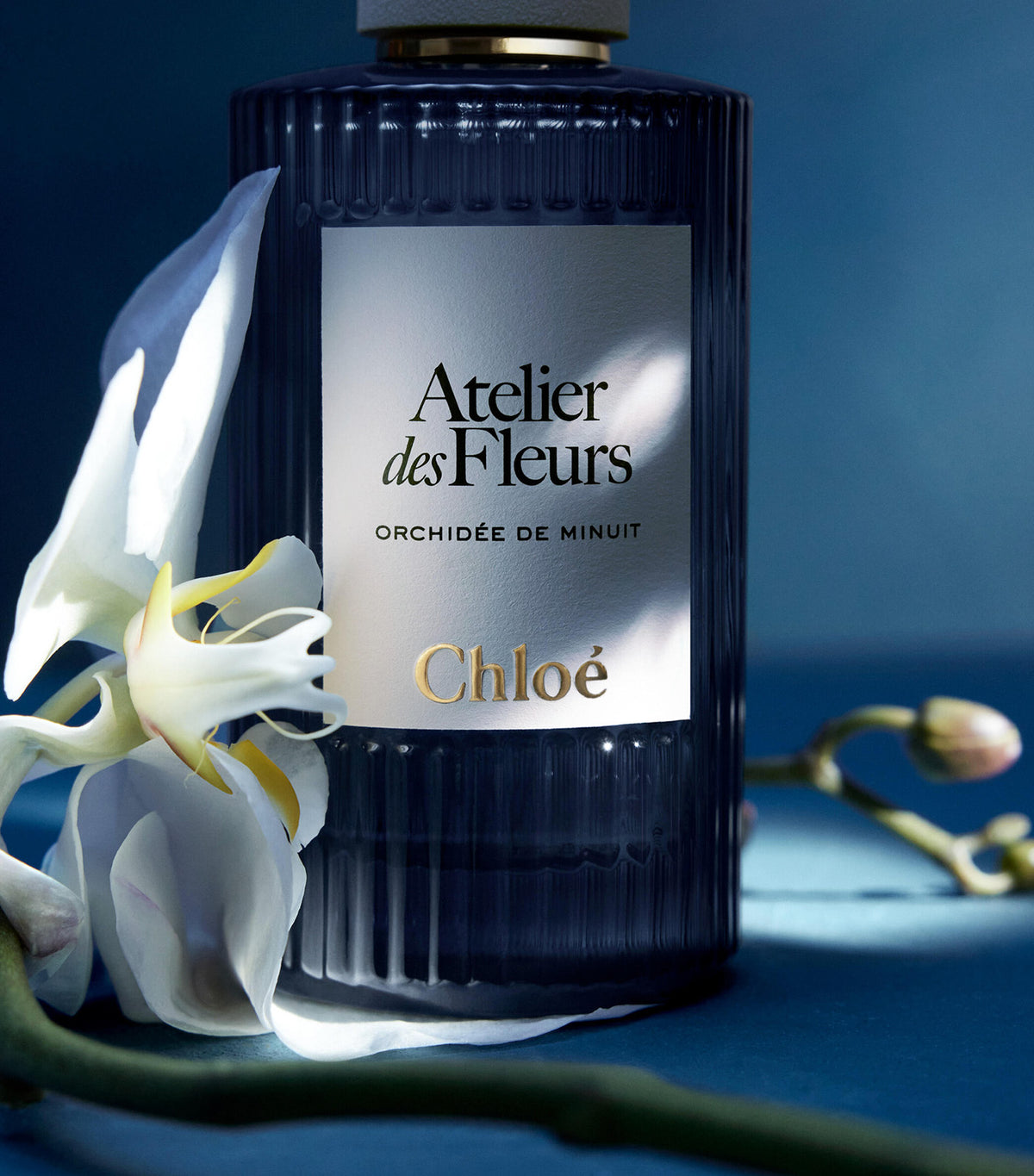 Atelier des Fleurs Orchidée de Minuit Eau de Parfum