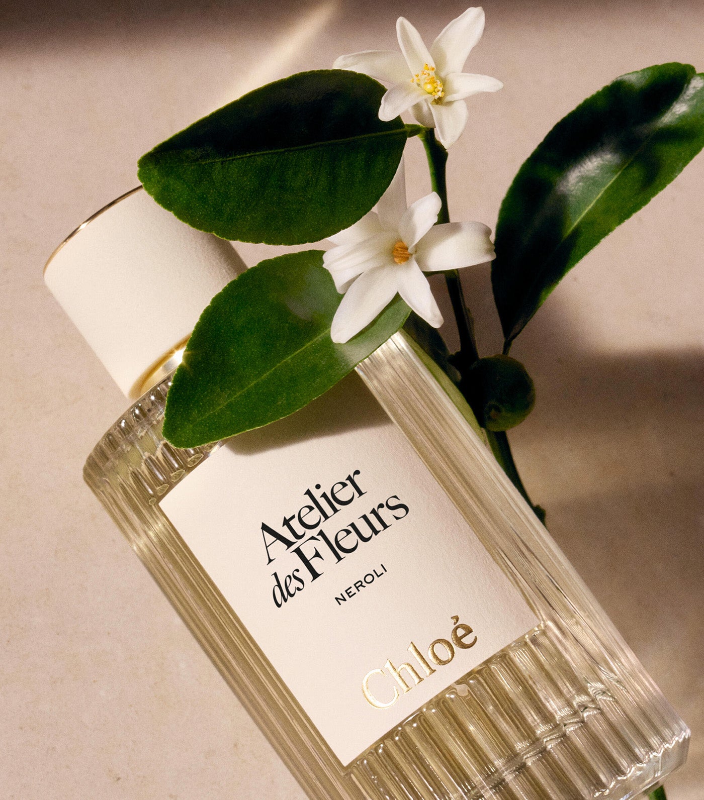Chloé Atelier des Fleurs Néroli Eau de Parfum | Rustan's