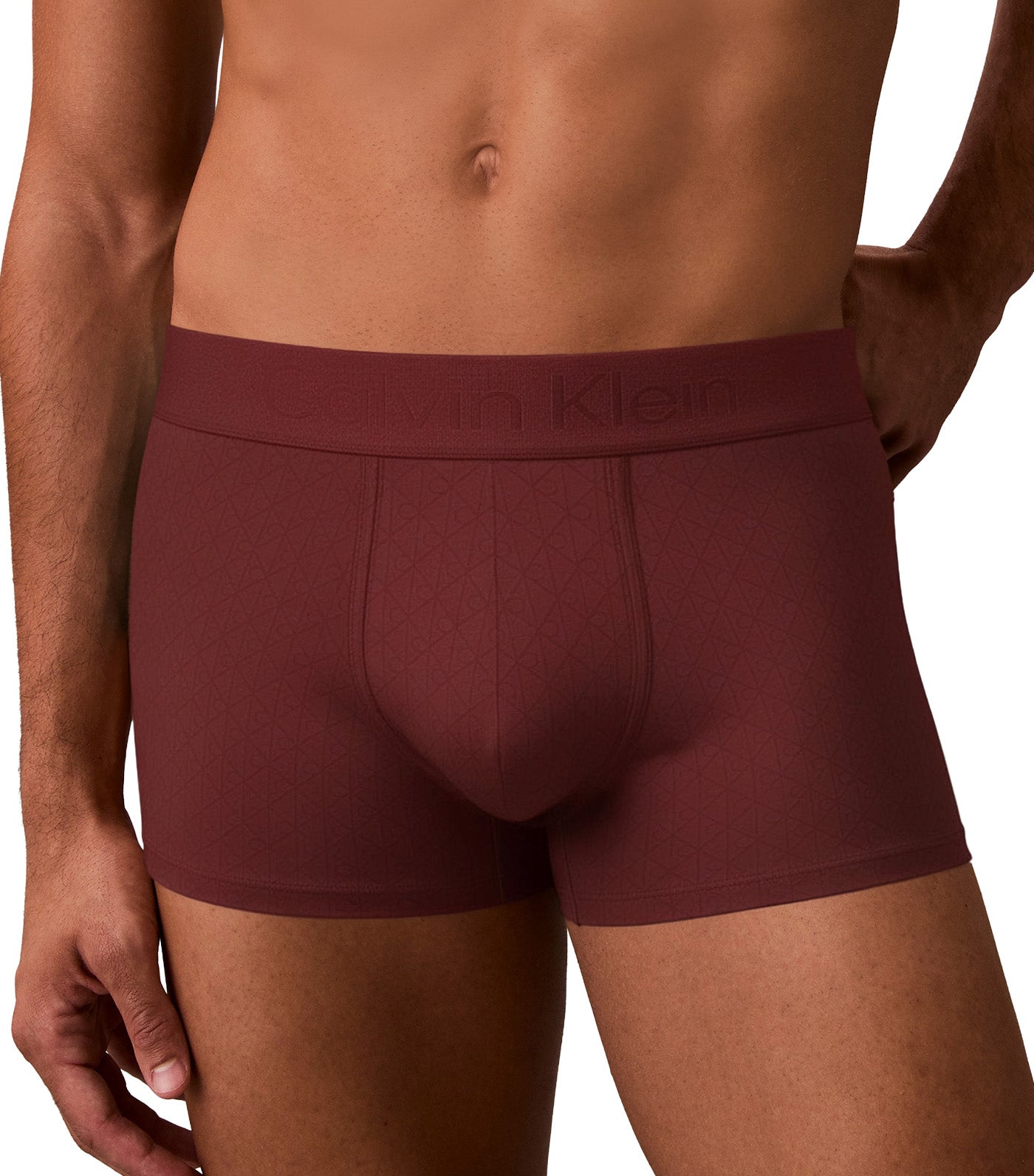 Micro Stretch Logo Low Rise Trunks Teenie Deluster Emblem/Fall Berry