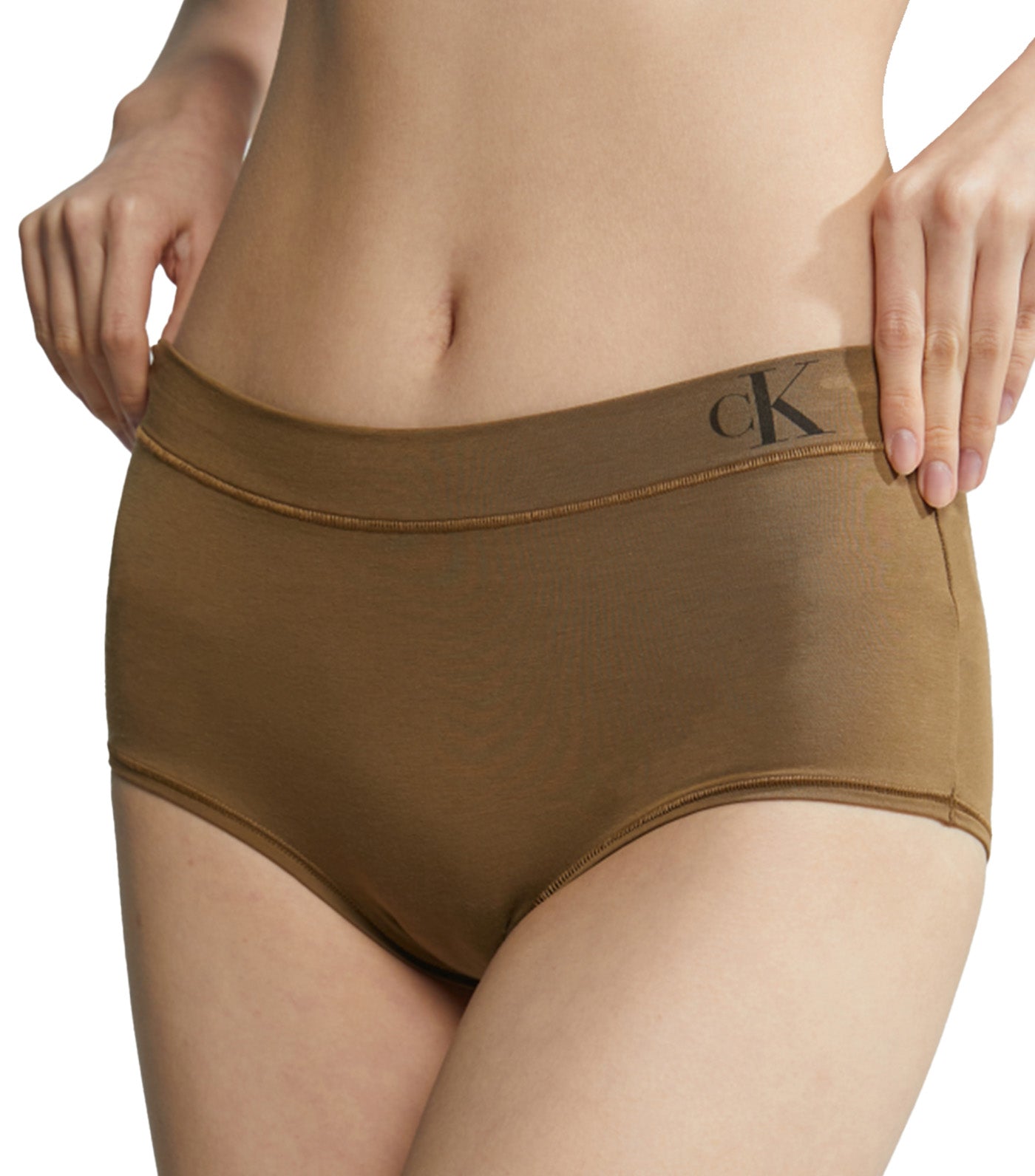 Calvin Klein Women's Invisibles Hipster Panty, Duffel Bag, Medium 
