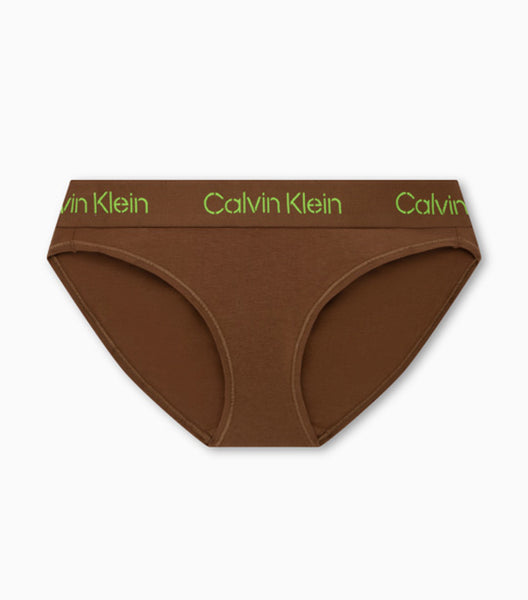 Calvin Klein Modern Seamless Naturals Bikini Underwear Qf7096 In Brown