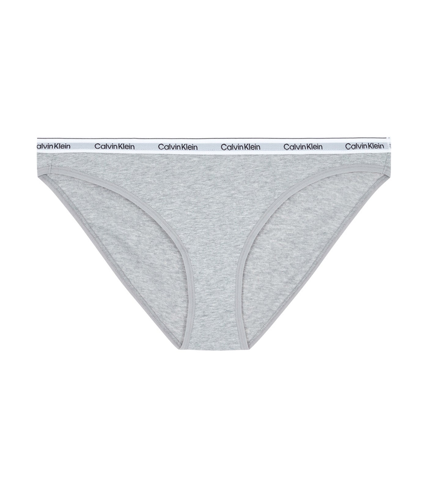 Underwear Bikini Grey