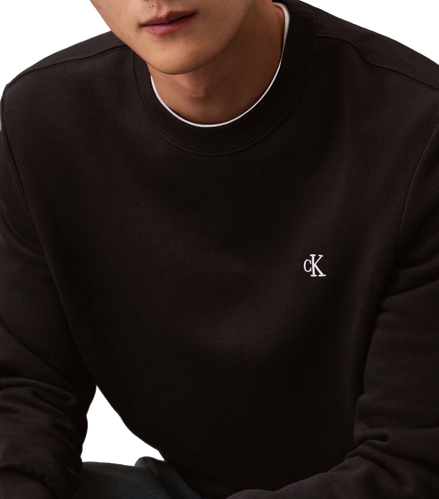 Archive Logo Fleece Crewneck Sweatshirt Black Beauty