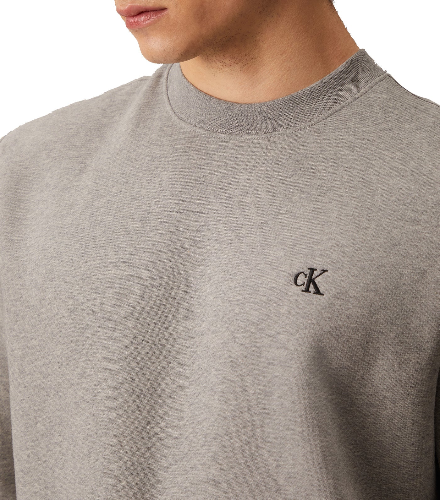 Archive Logo Fleece Crewneck Sweatshirt Gray Heather