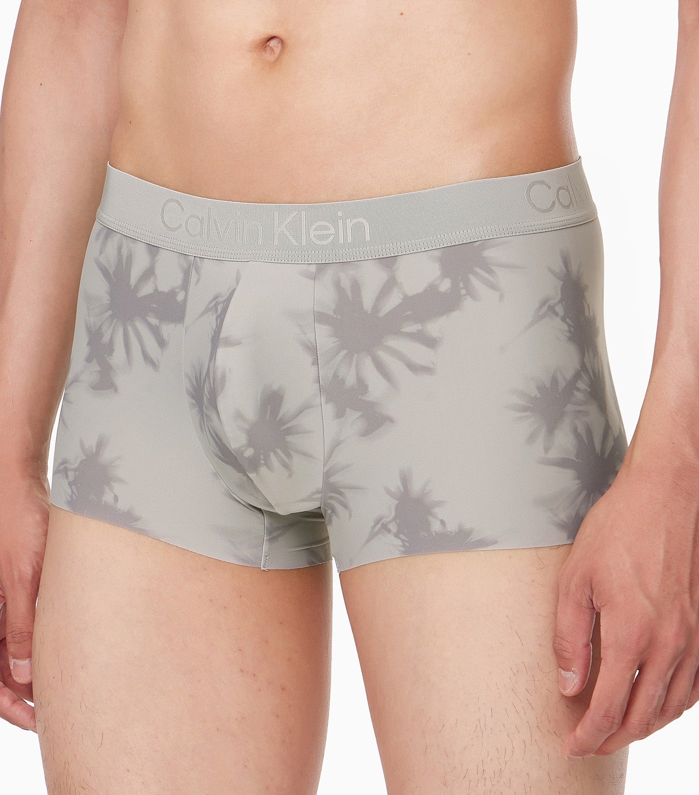 Underwear Low Rise Trunk Gray