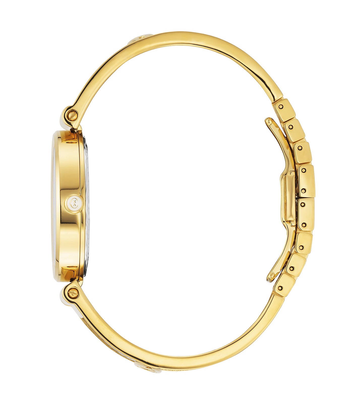 Forever Rainbow Watch