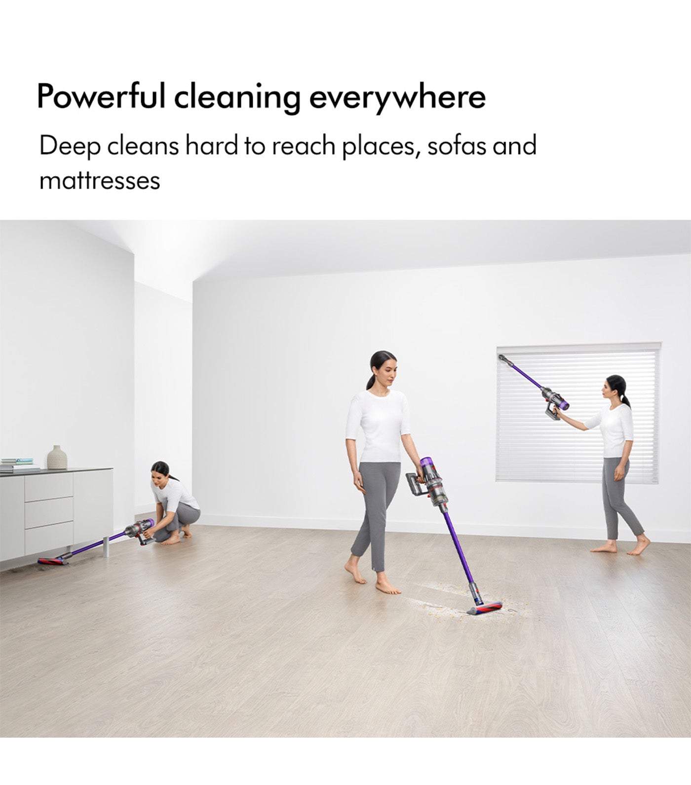 V12 Origin Vacuum Cleaner Iron/Purple