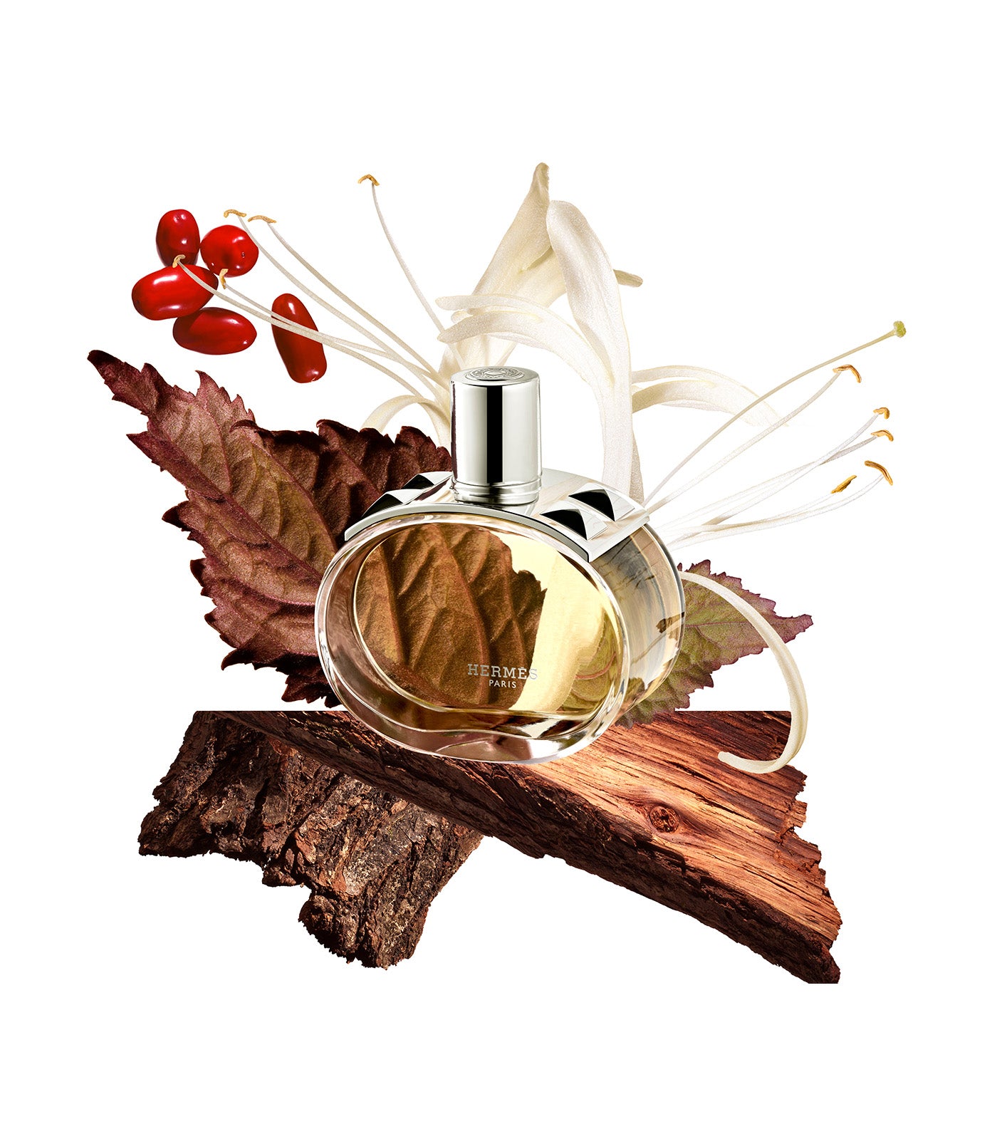 Barénia Eau de Parfum