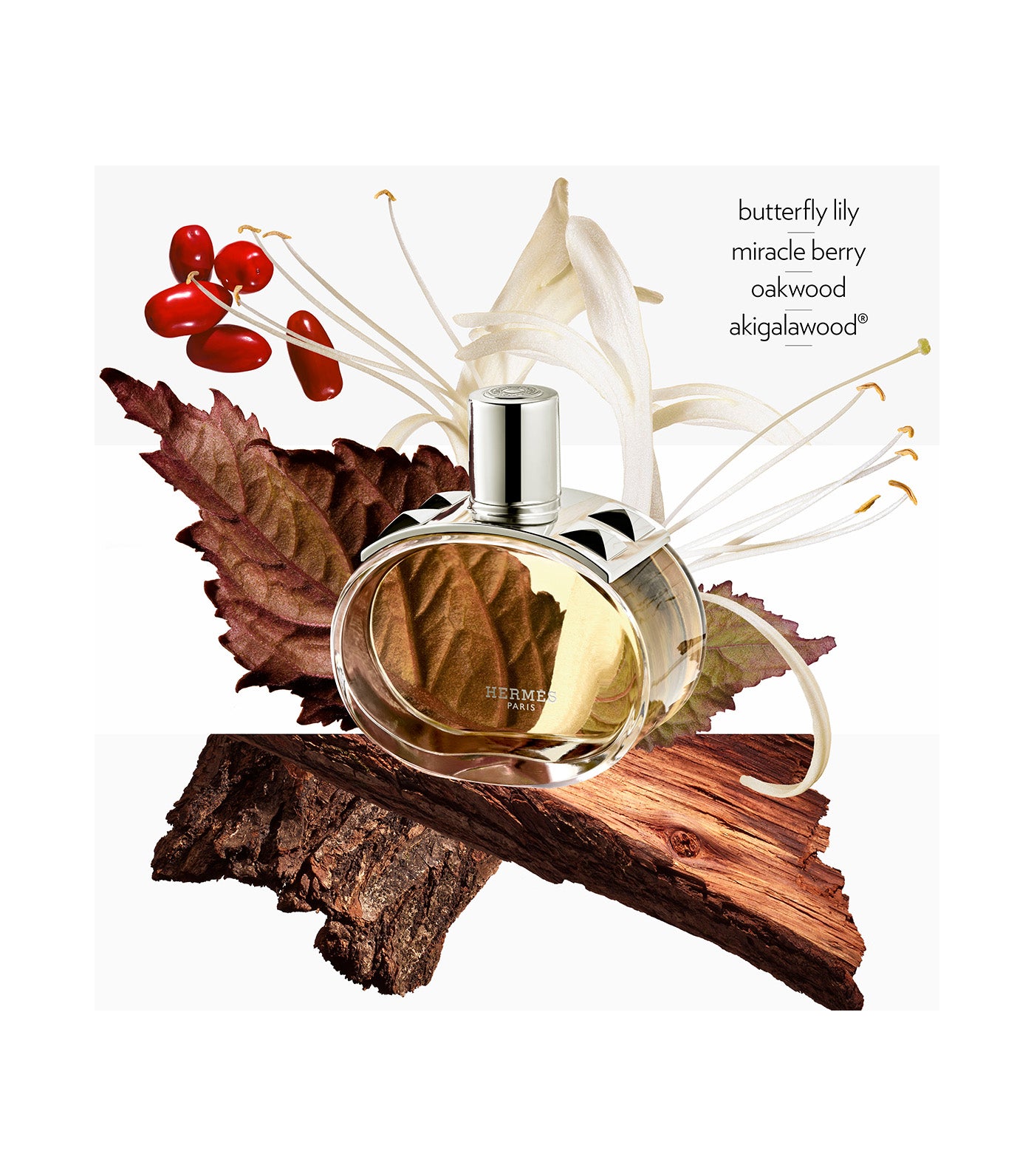 Barénia Eau de Parfum Refill