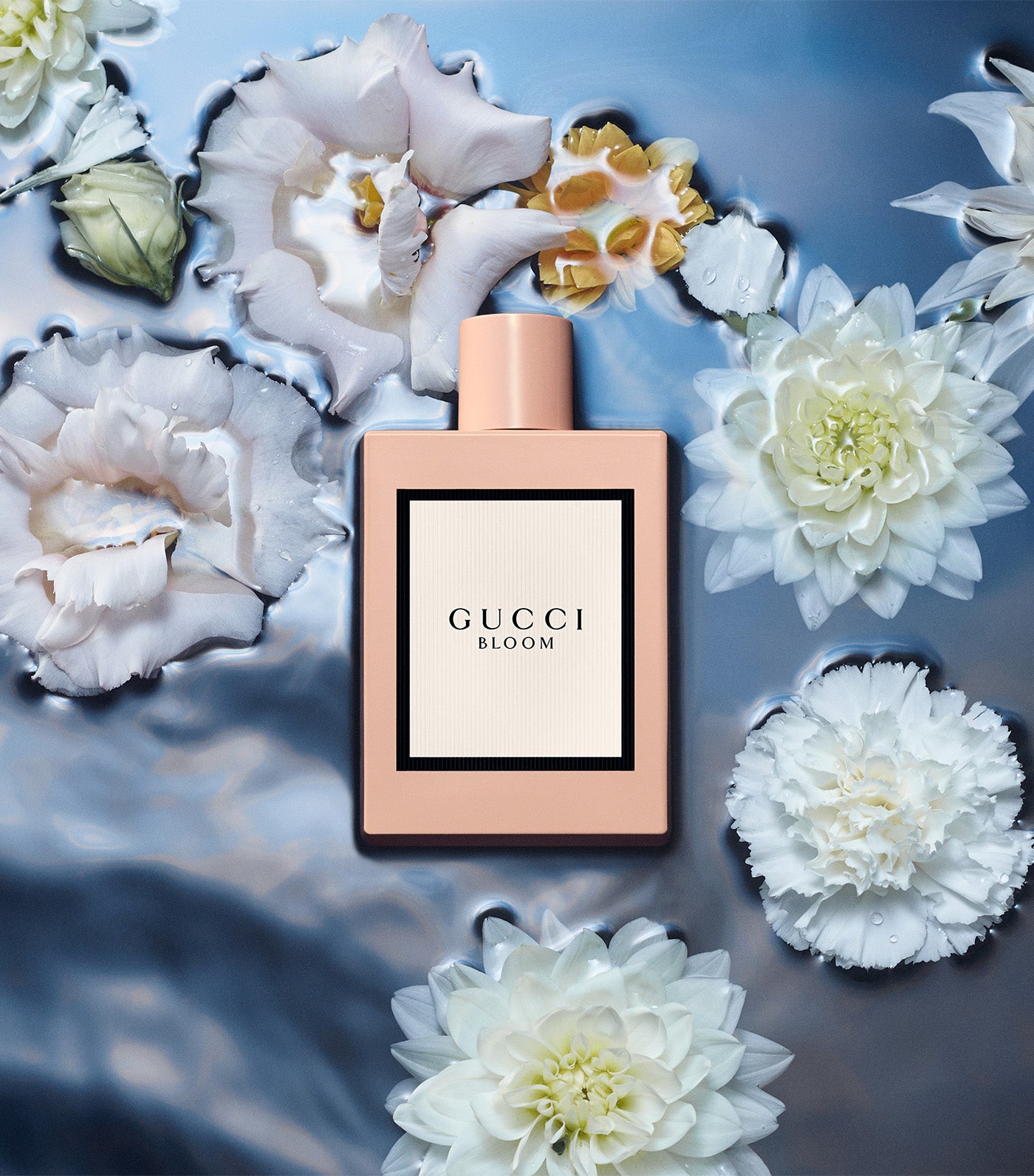 Harga parfum gucci bloom original deals