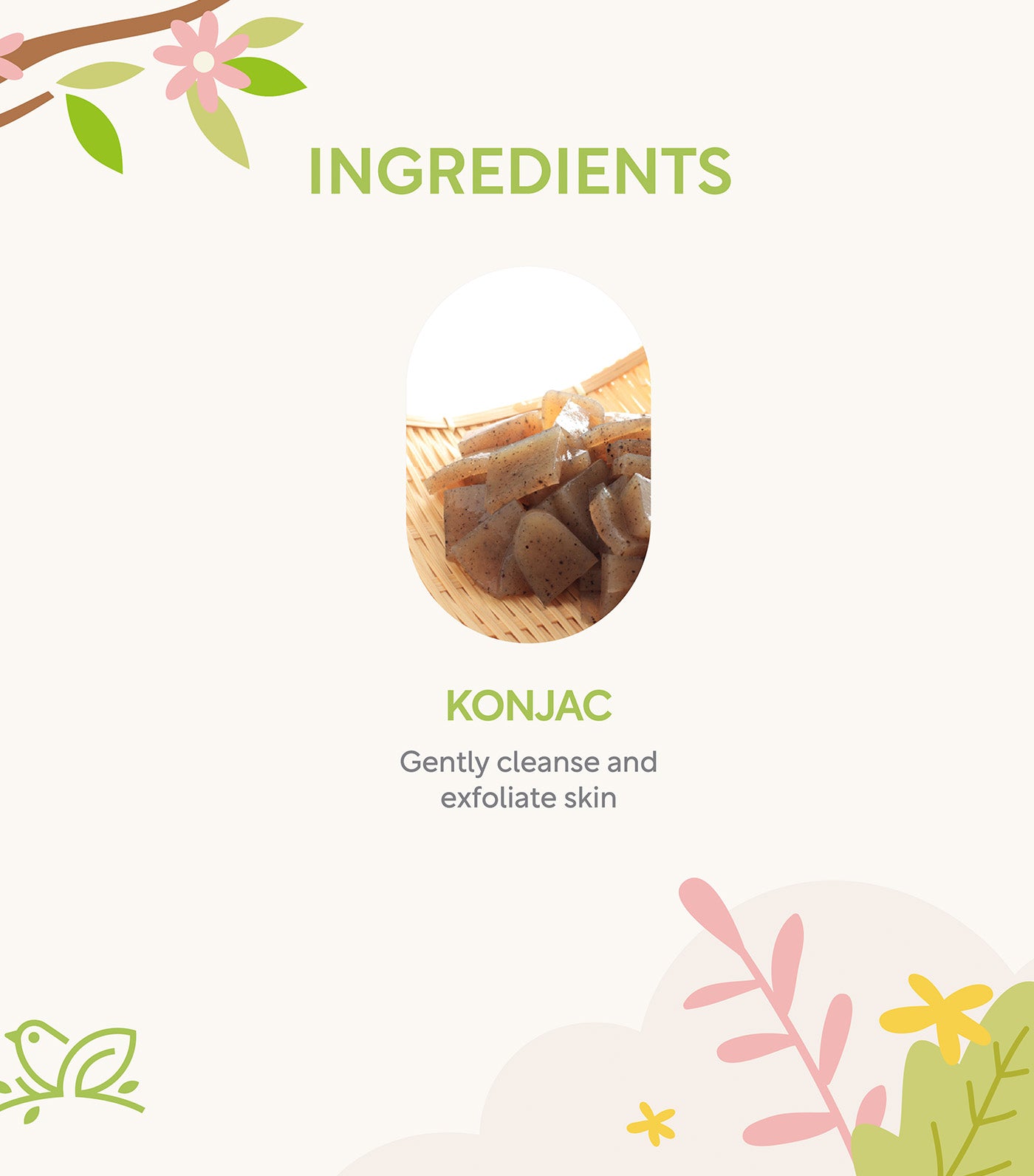 Konjac Baby Bath Sponge