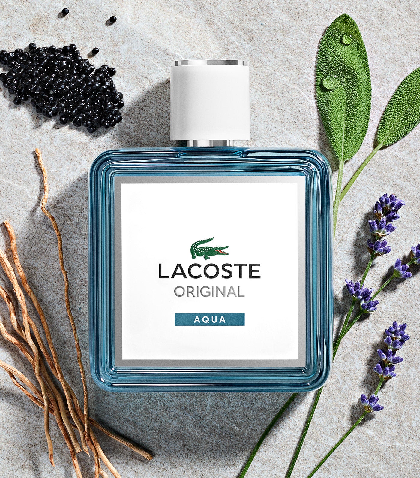 Lacoste Fragrances Original Aqua Eau de Parfum