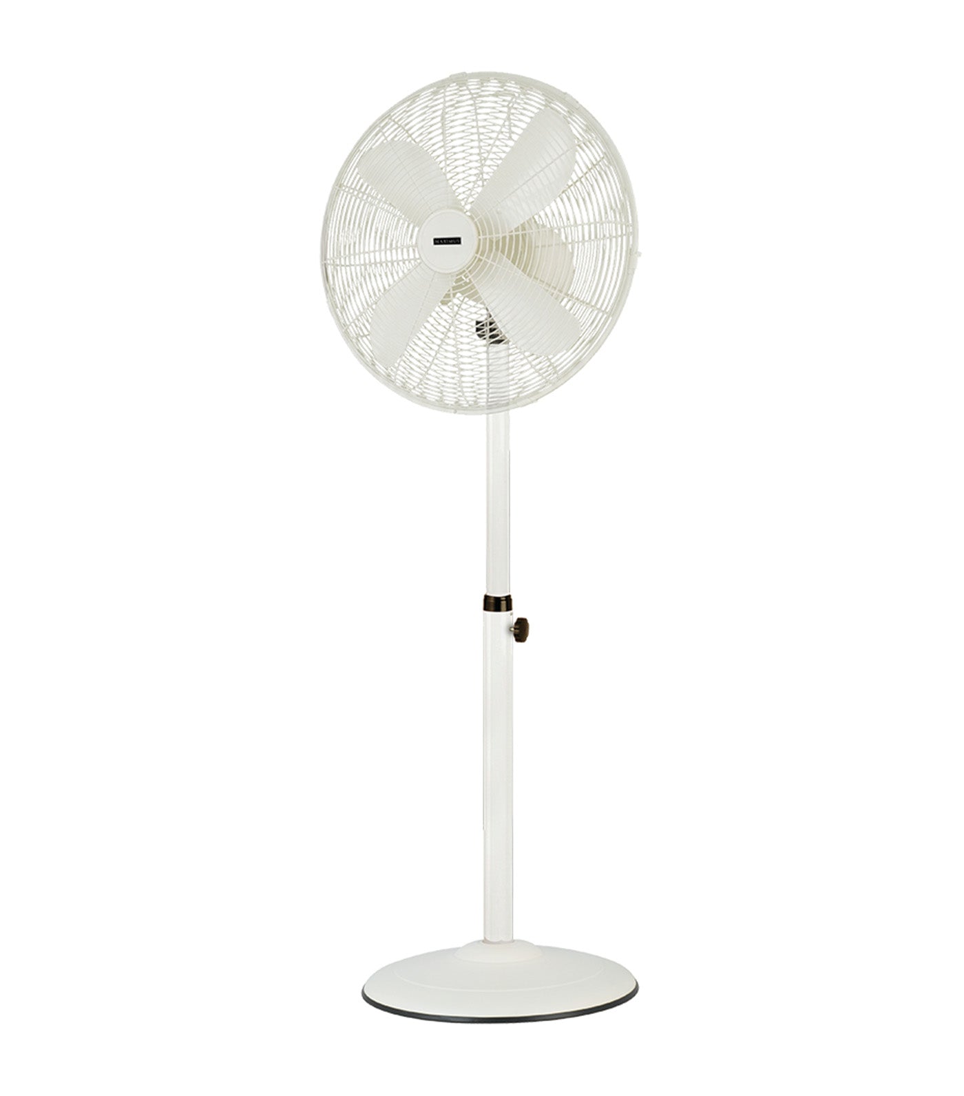 Maximus Retro Fan Cream