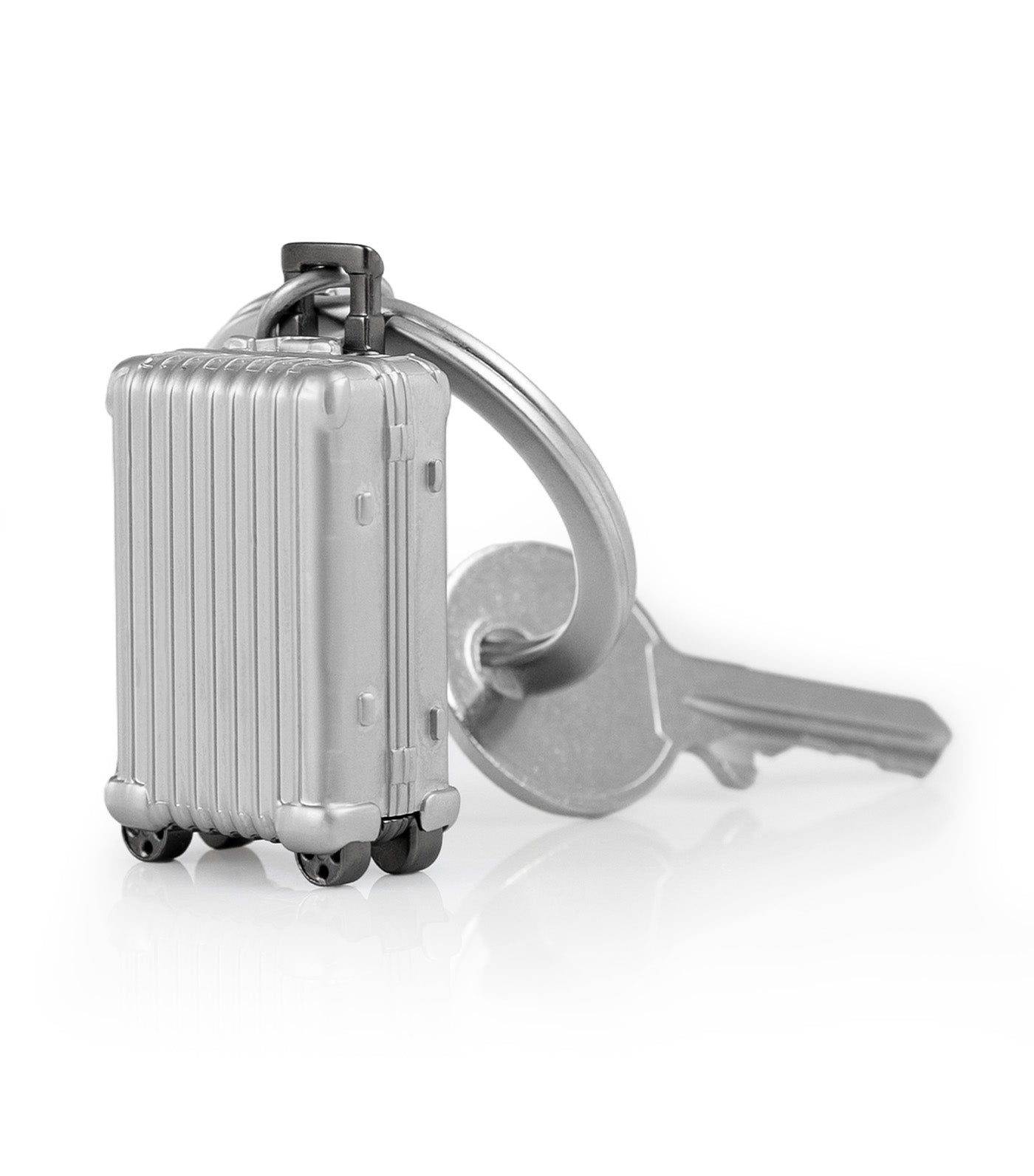 Luggage Keyring