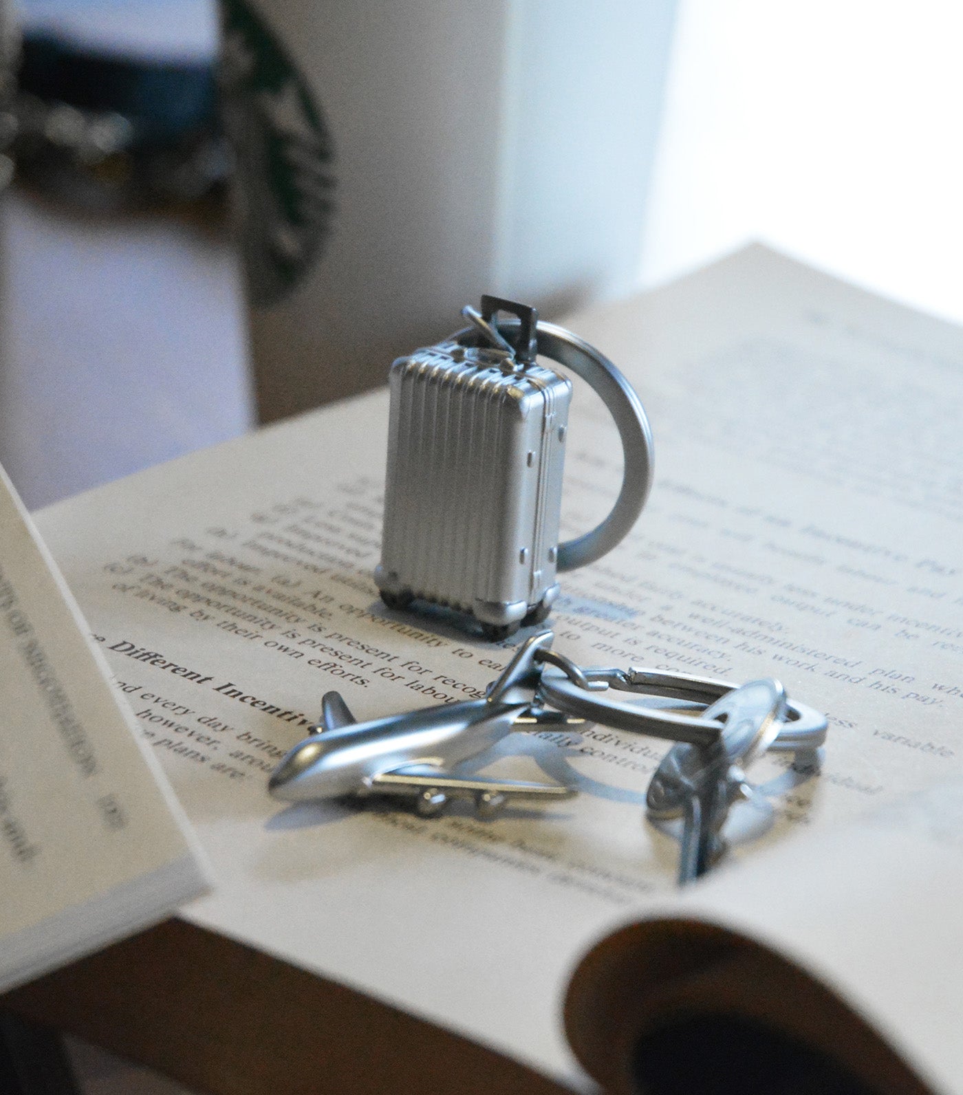 Luggage Keyring