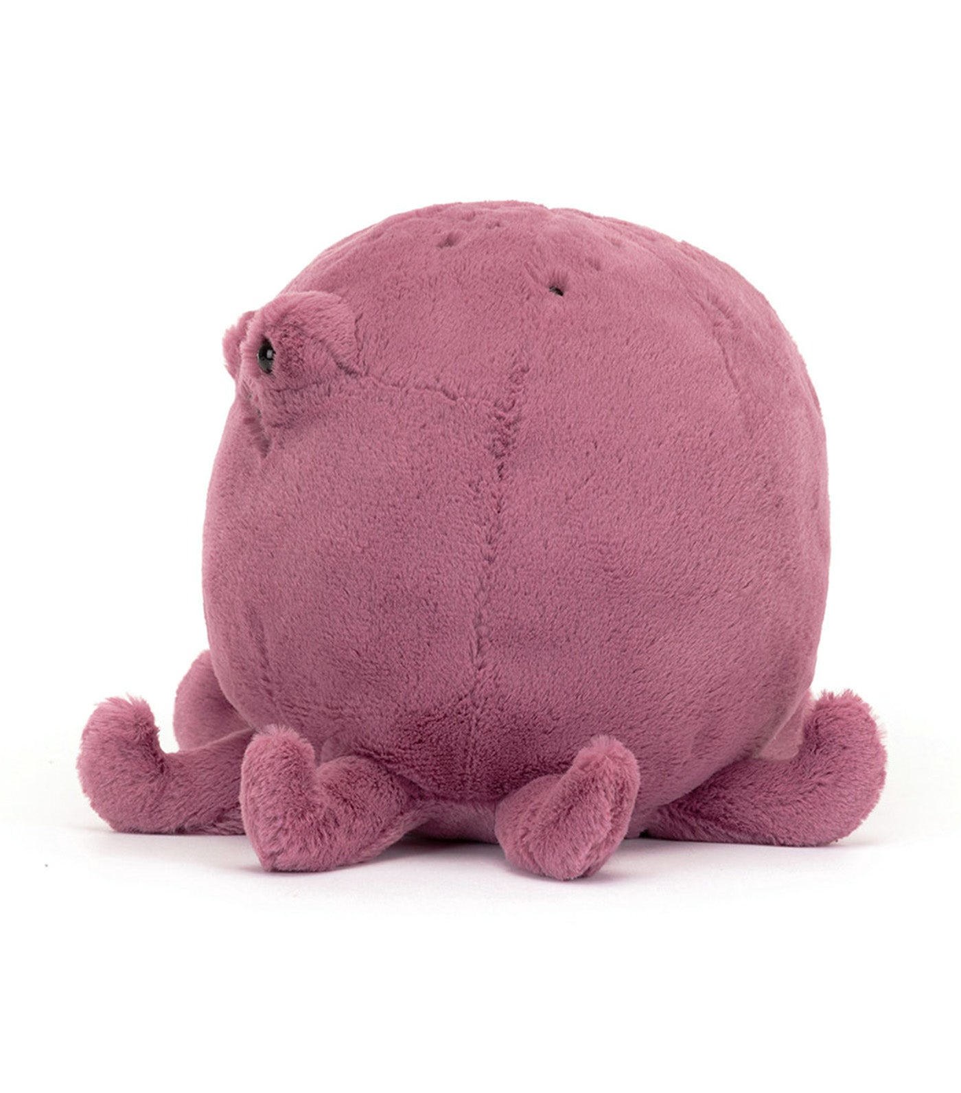 Ondre Octopus