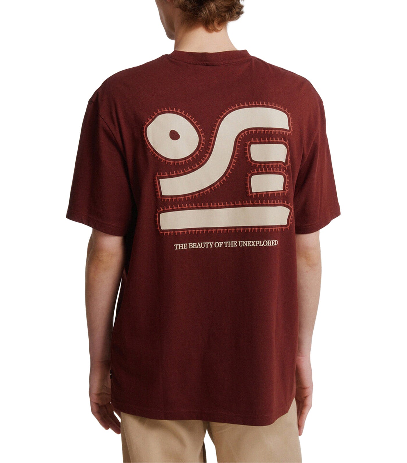Ethnic Embroidered T-Shirt Brown