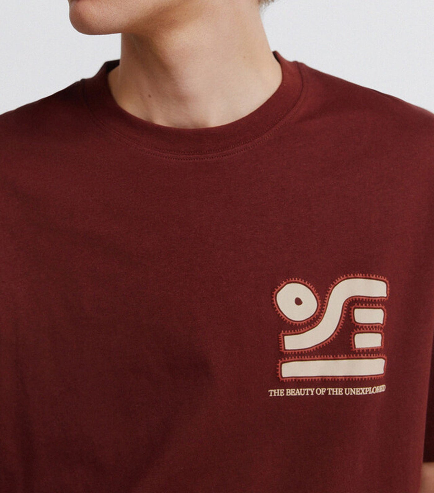 Ethnic Embroidered T-Shirt Brown