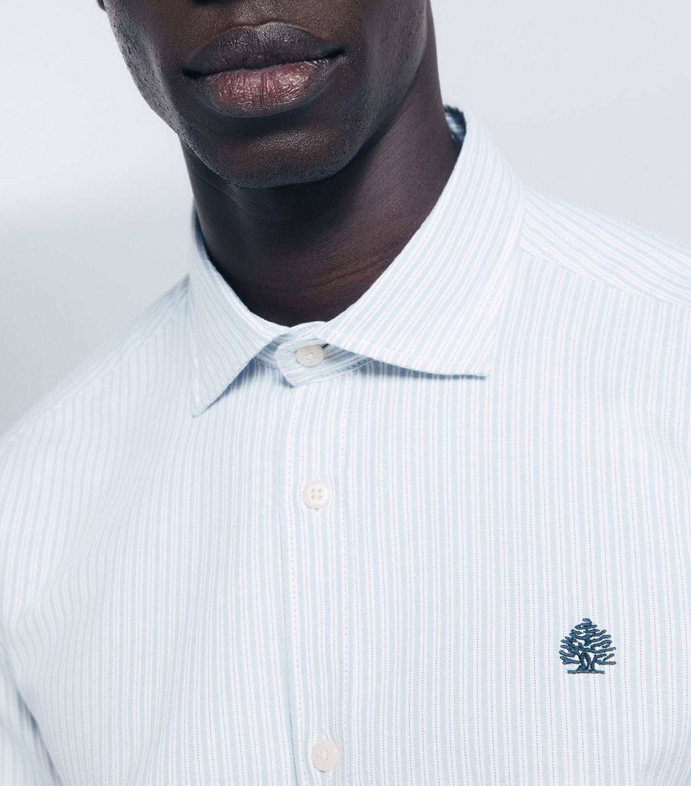 Striped Oxford Shirt