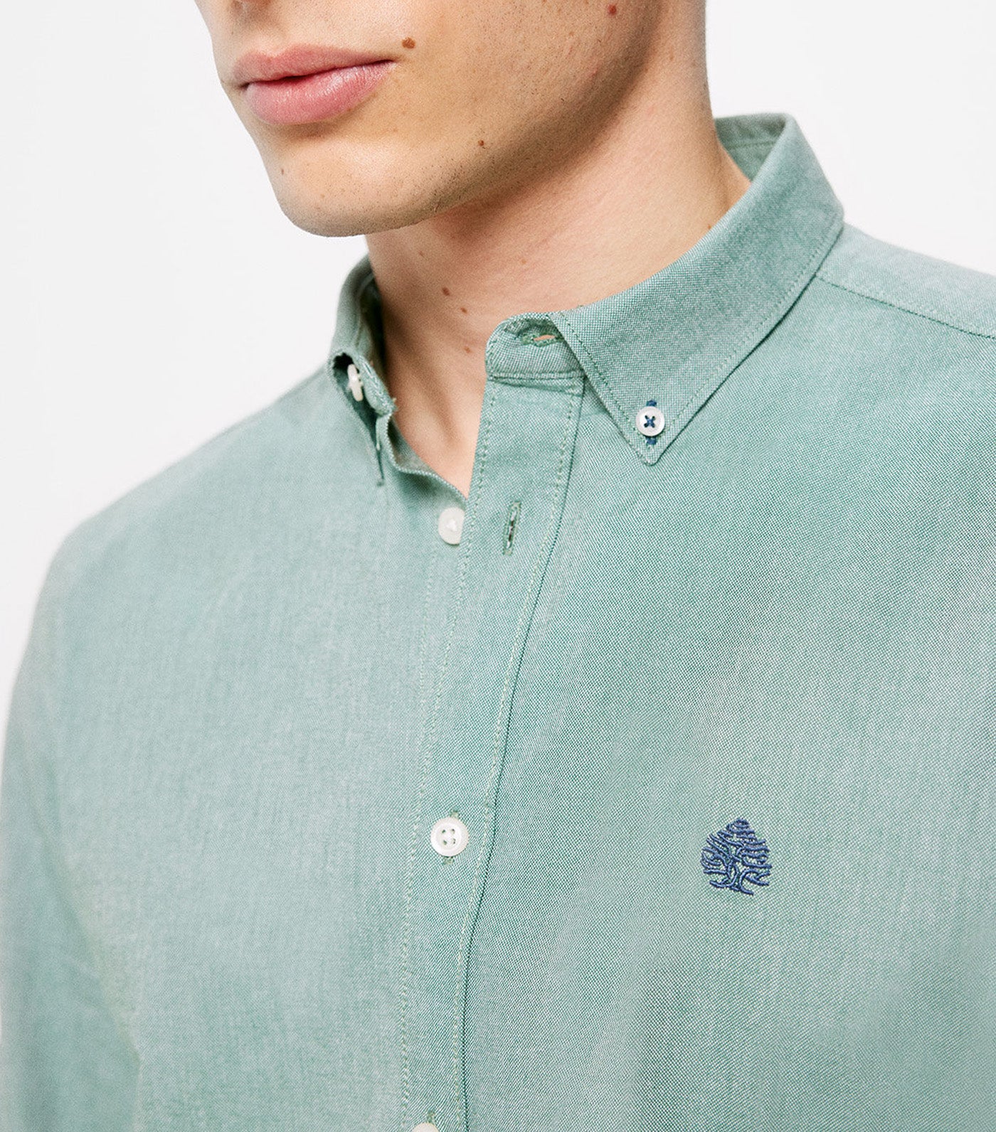 Springfield Camicia Formale Uomo – 100% Cotone – Verde – Vestibilità Regolare – Maniche Lunghe