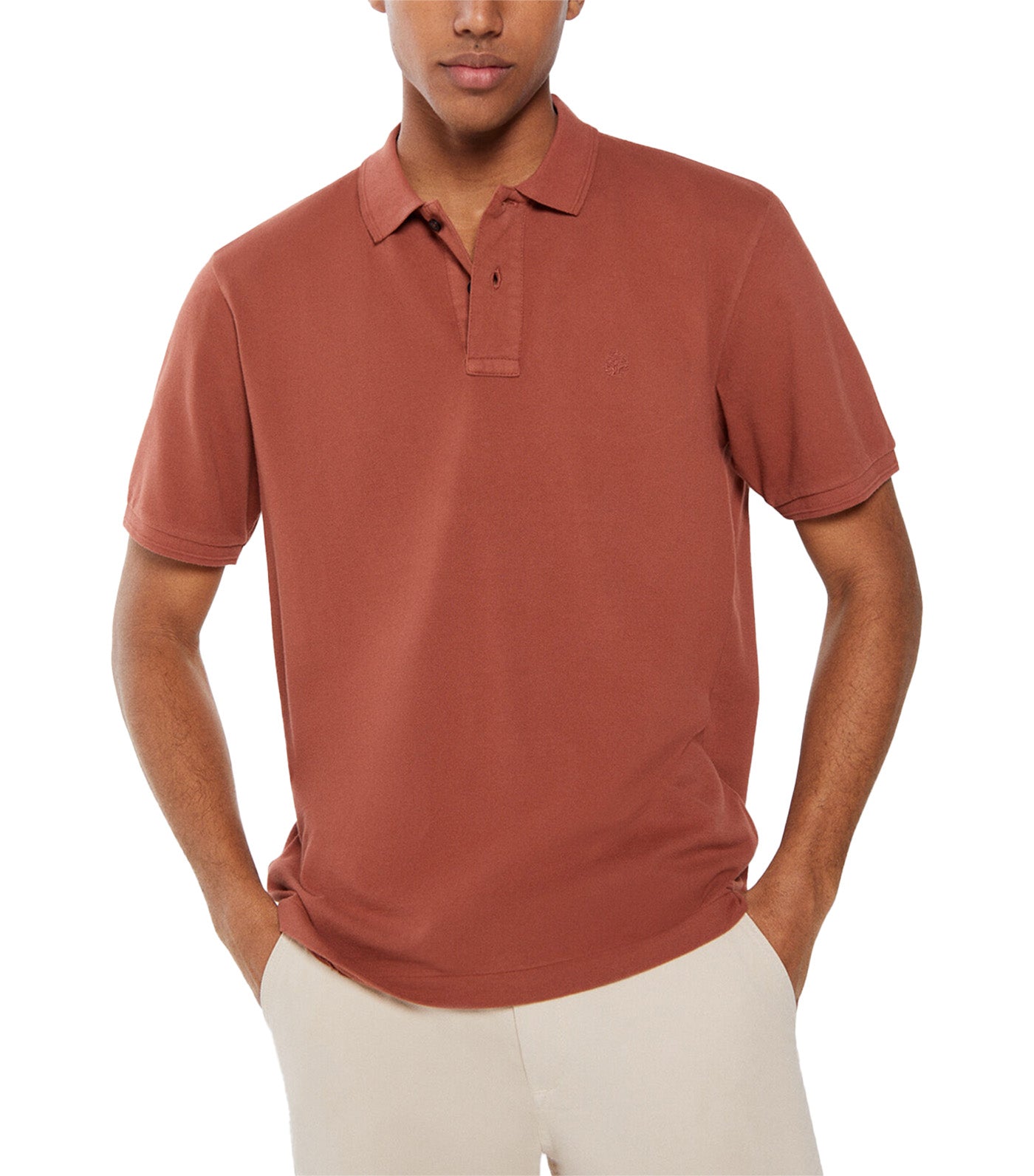 Special Washed Pique Polo Brown