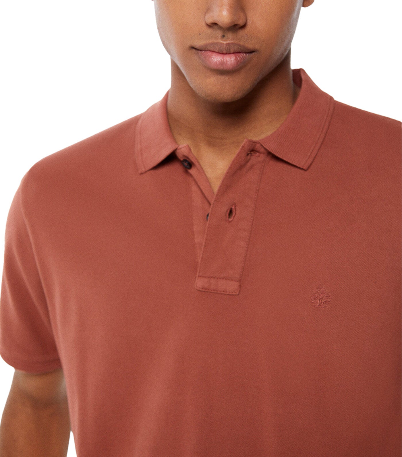 Special Washed Pique Polo Brown