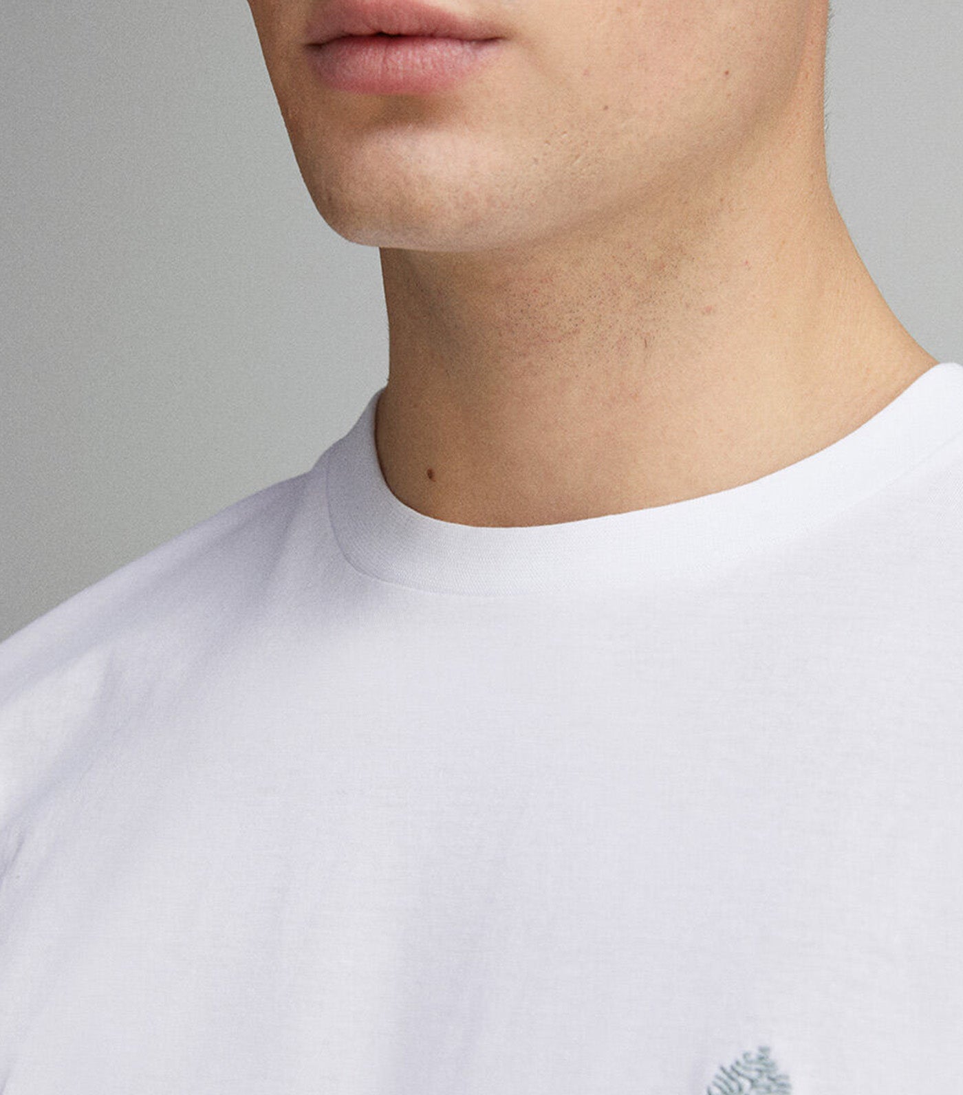 Basic Round Neck T-Shirt