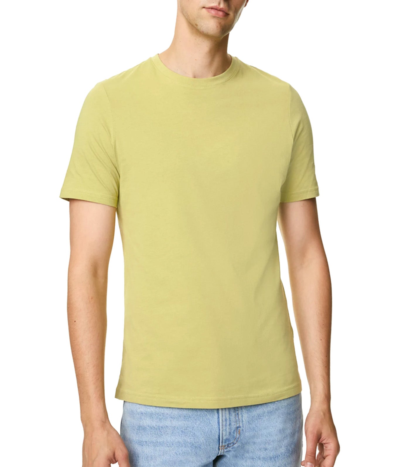 Regular Fit Pure Cotton Crew Neck T-Shirt Leaf