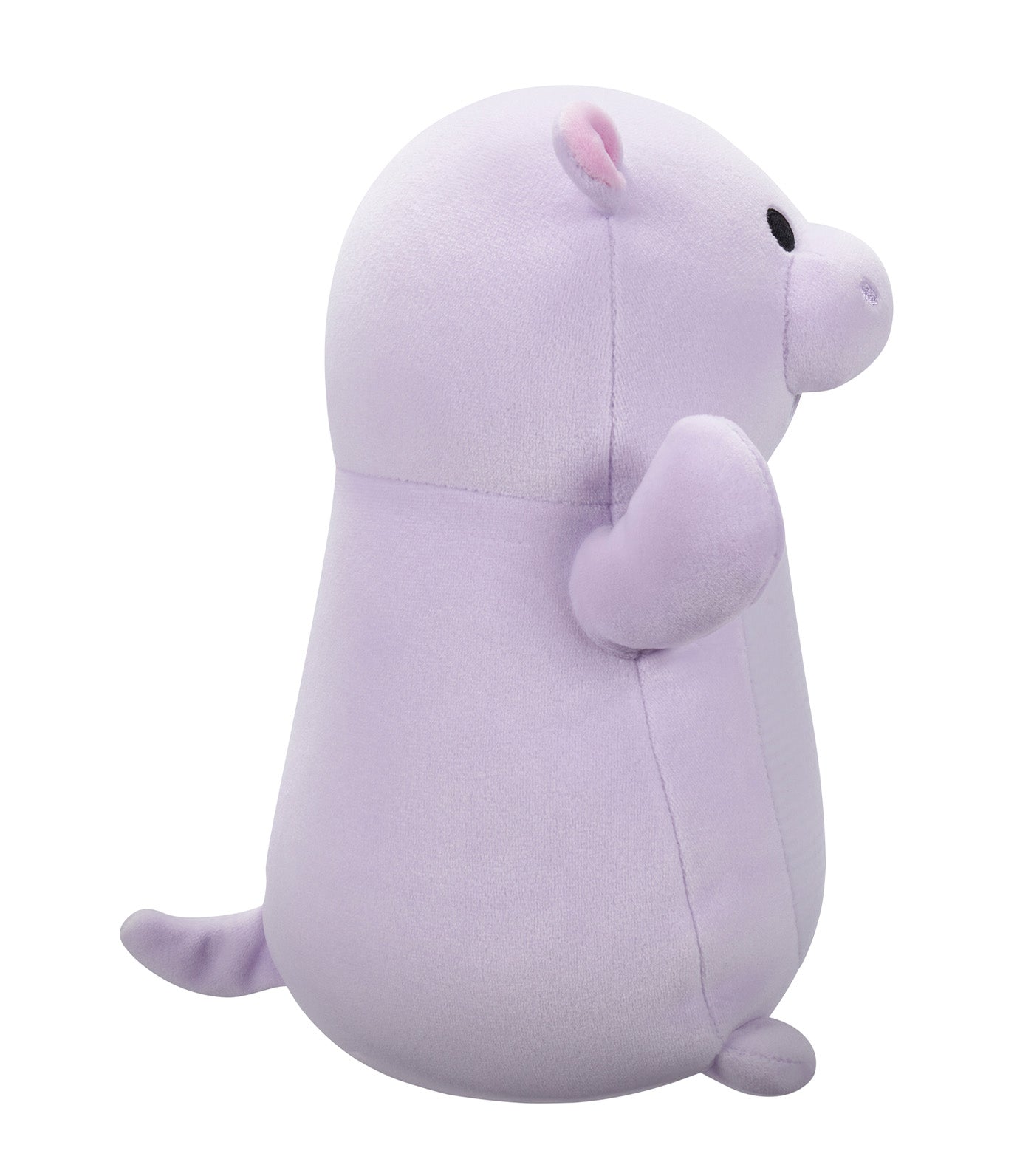Hanna Purple