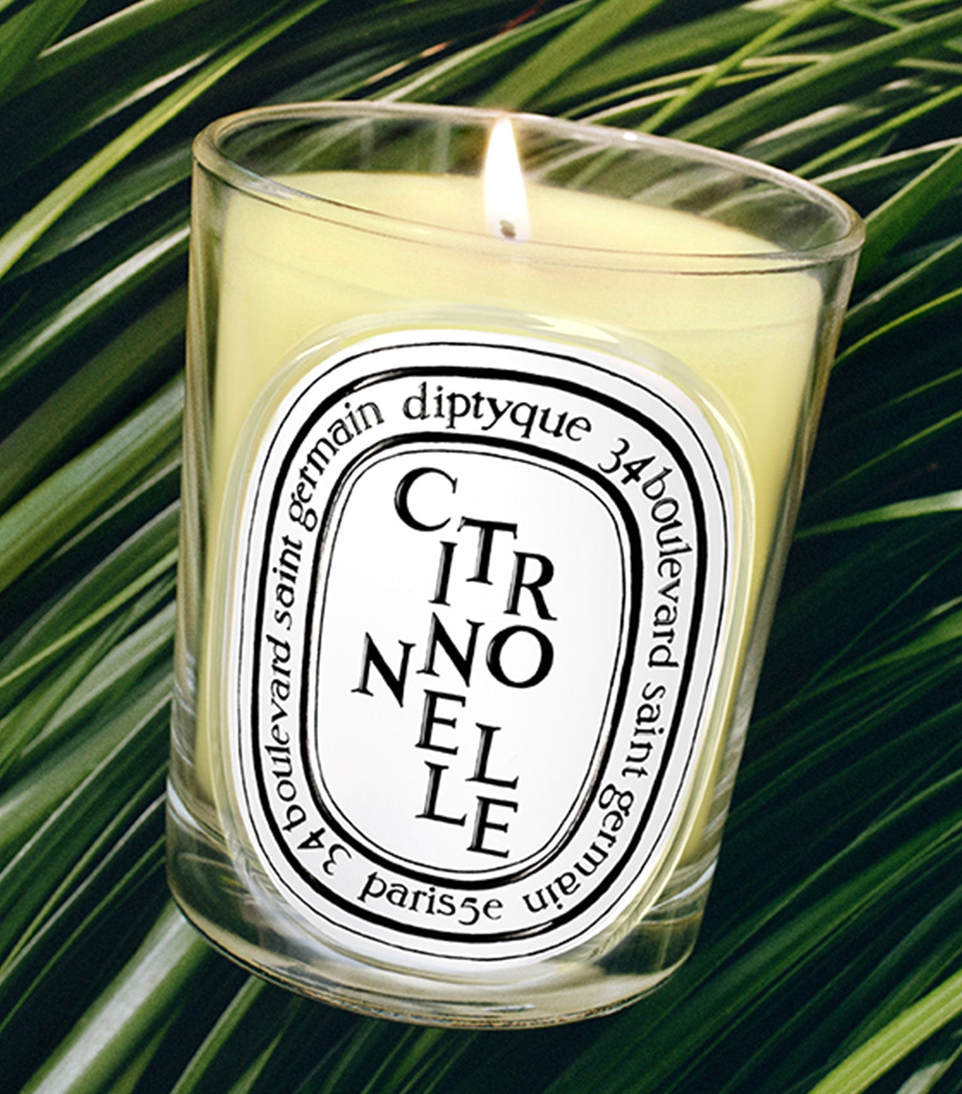DIPTYQUE Citronnelle (Lemongrass) Candle | Rustan's