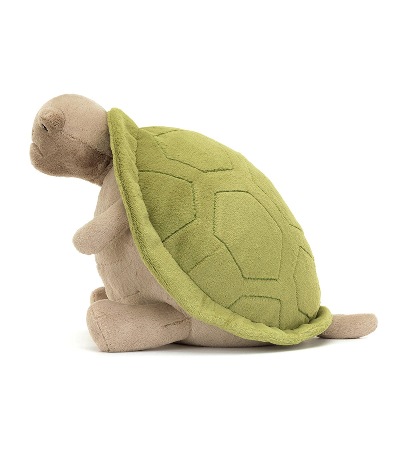 Timmy Turtle