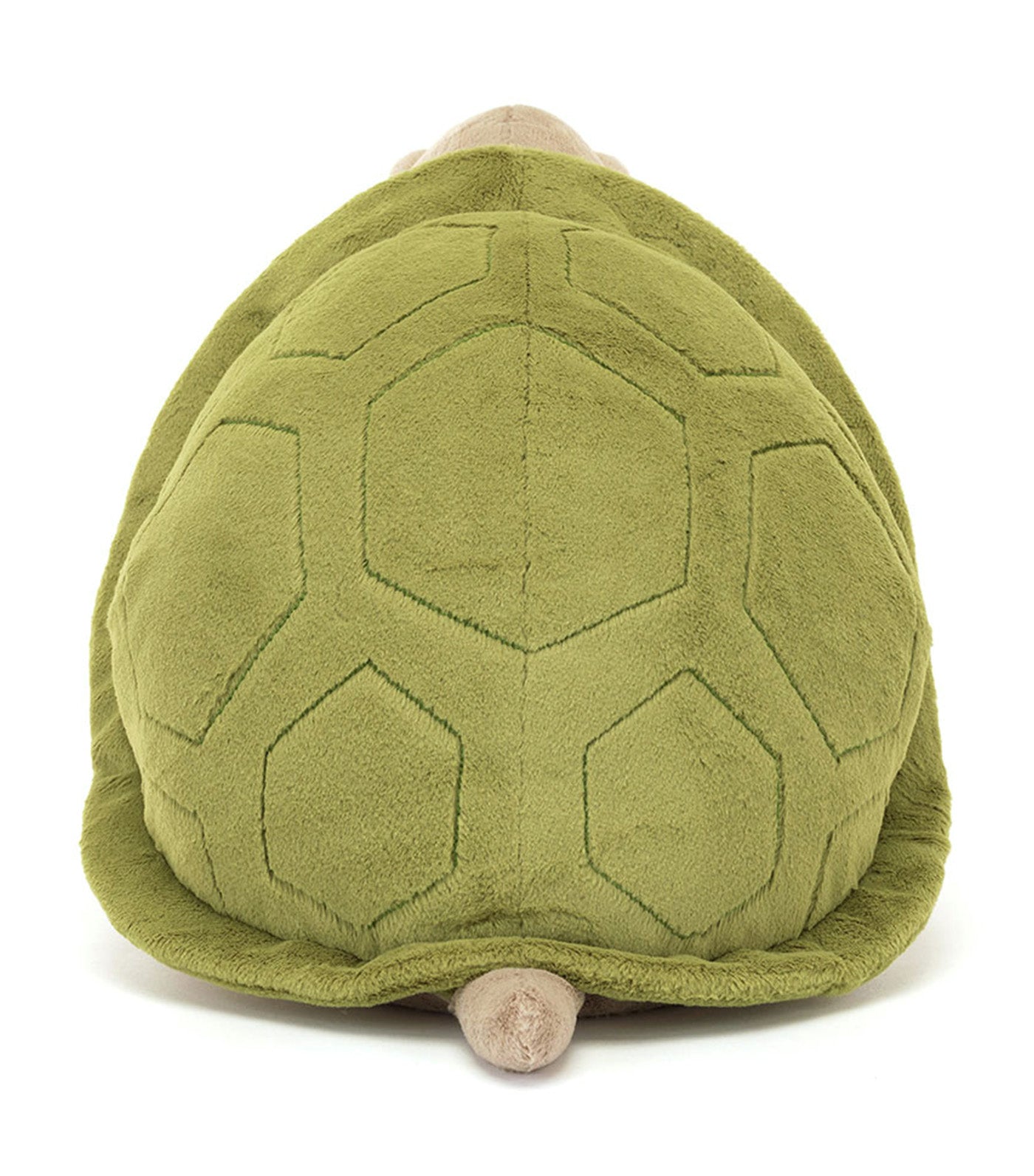 Timmy Turtle