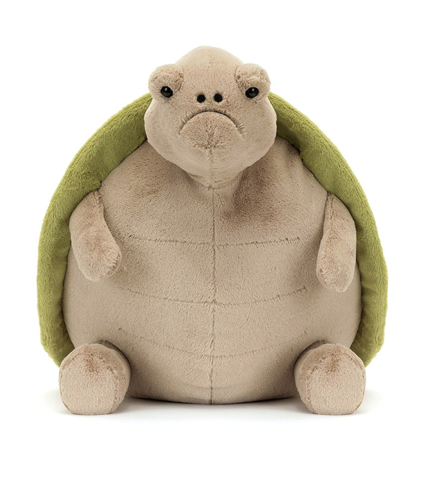 Timmy Turtle