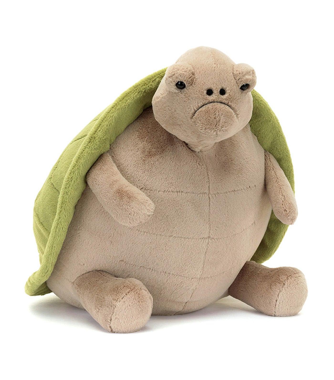 Timmy Turtle
