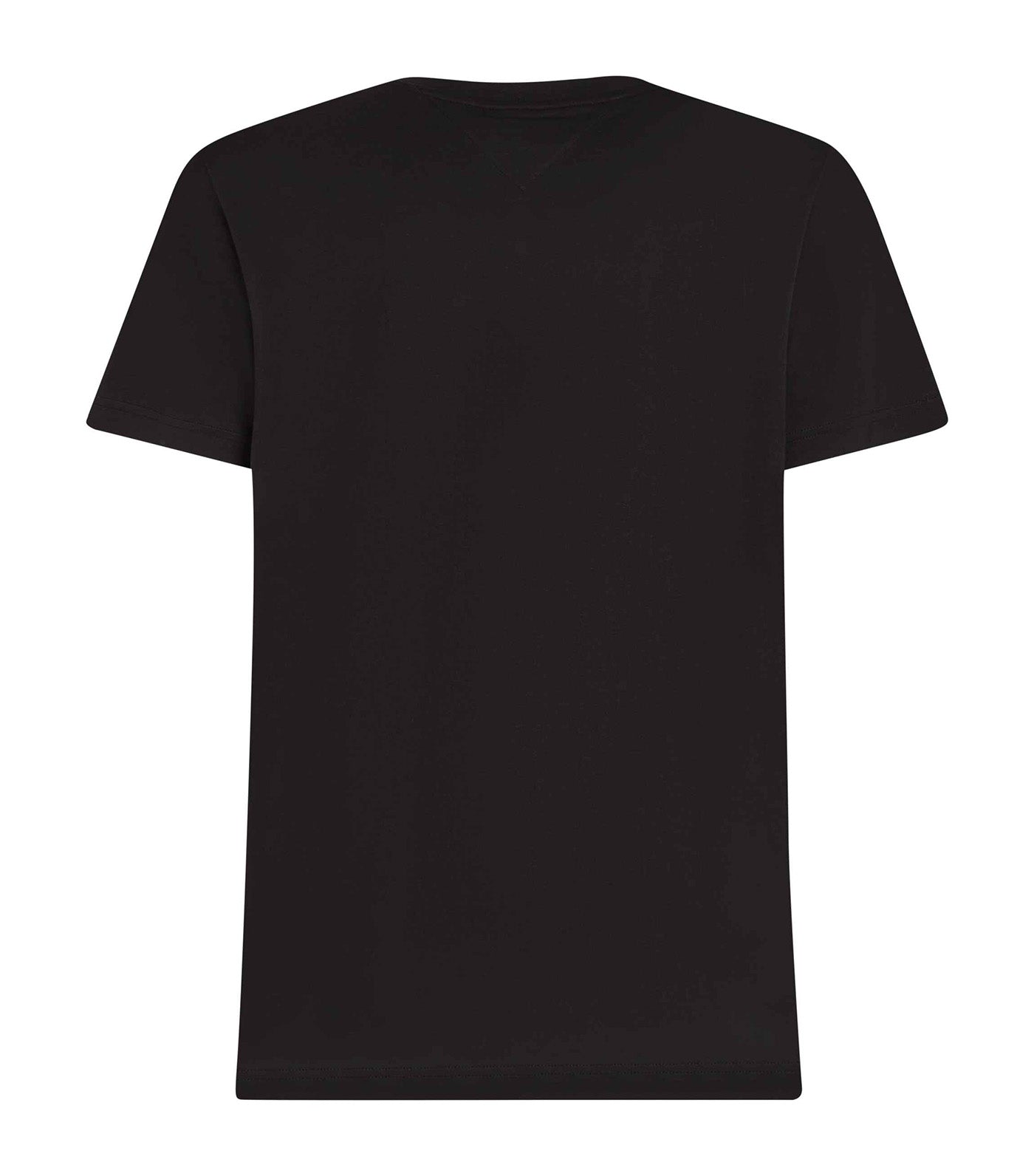 Linear Flag Graphic T-Shirt