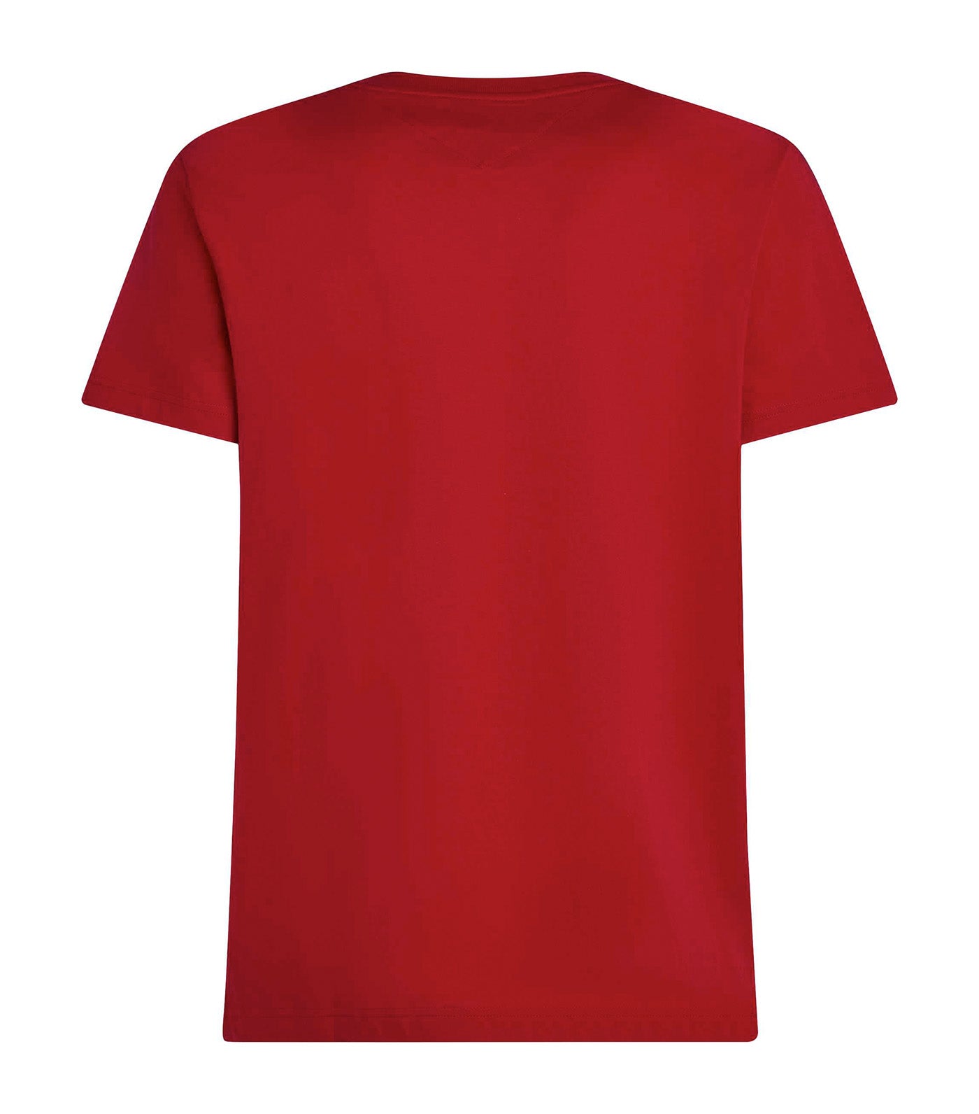 Linear Flag Graphic T-Shirt