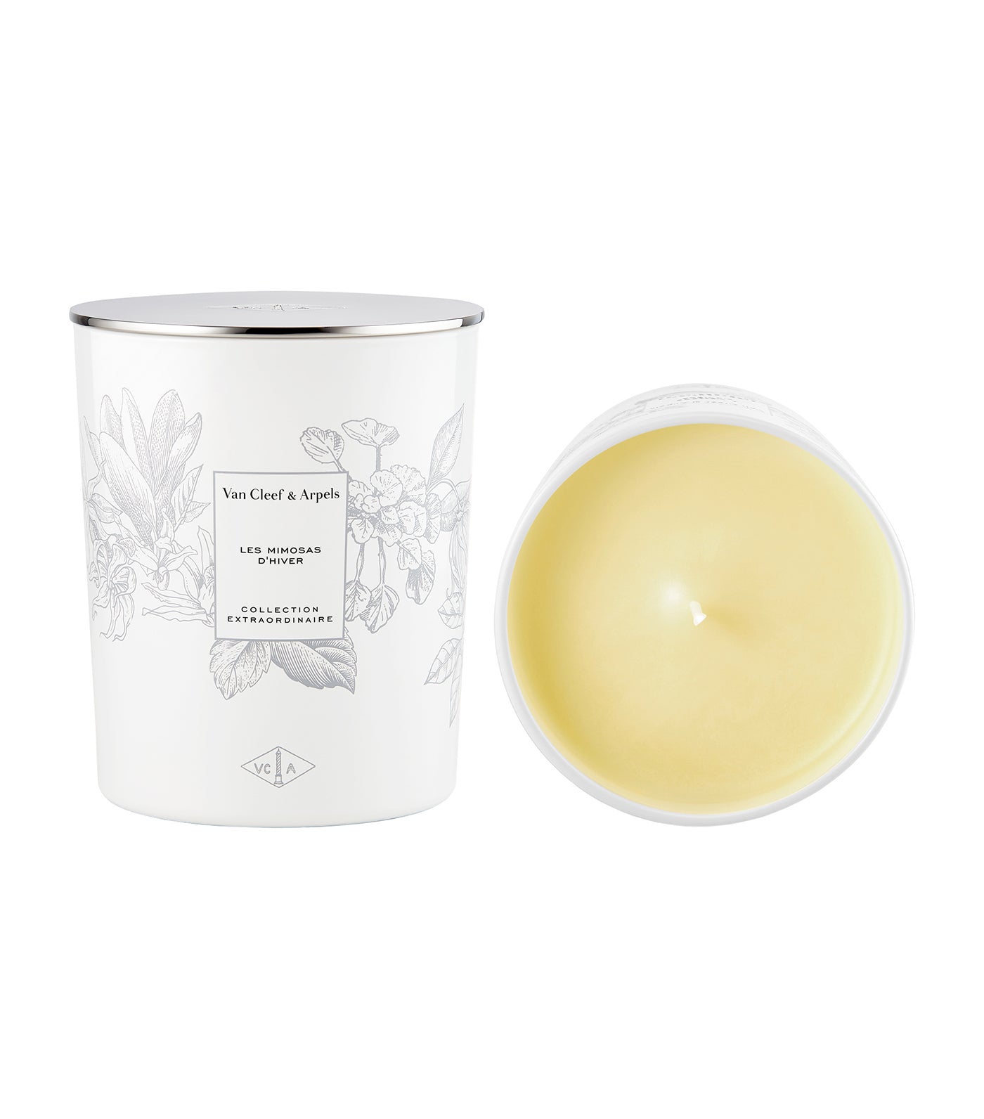 Les Mimosas d'Hiver Candle