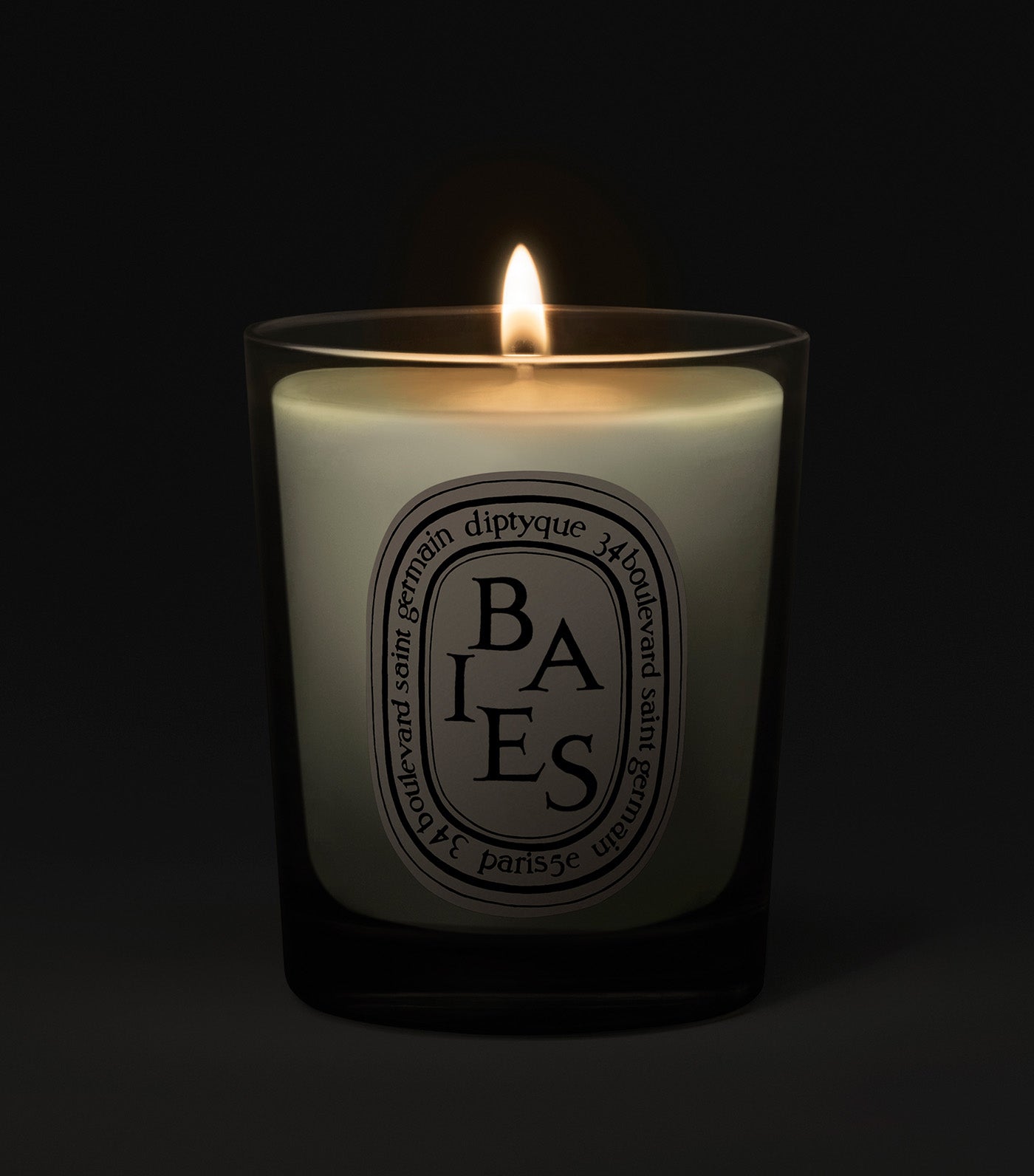diptyque 70g baies / berries candle