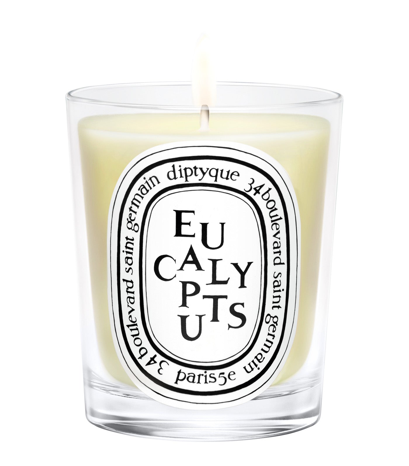 Eucalyptus Candle
