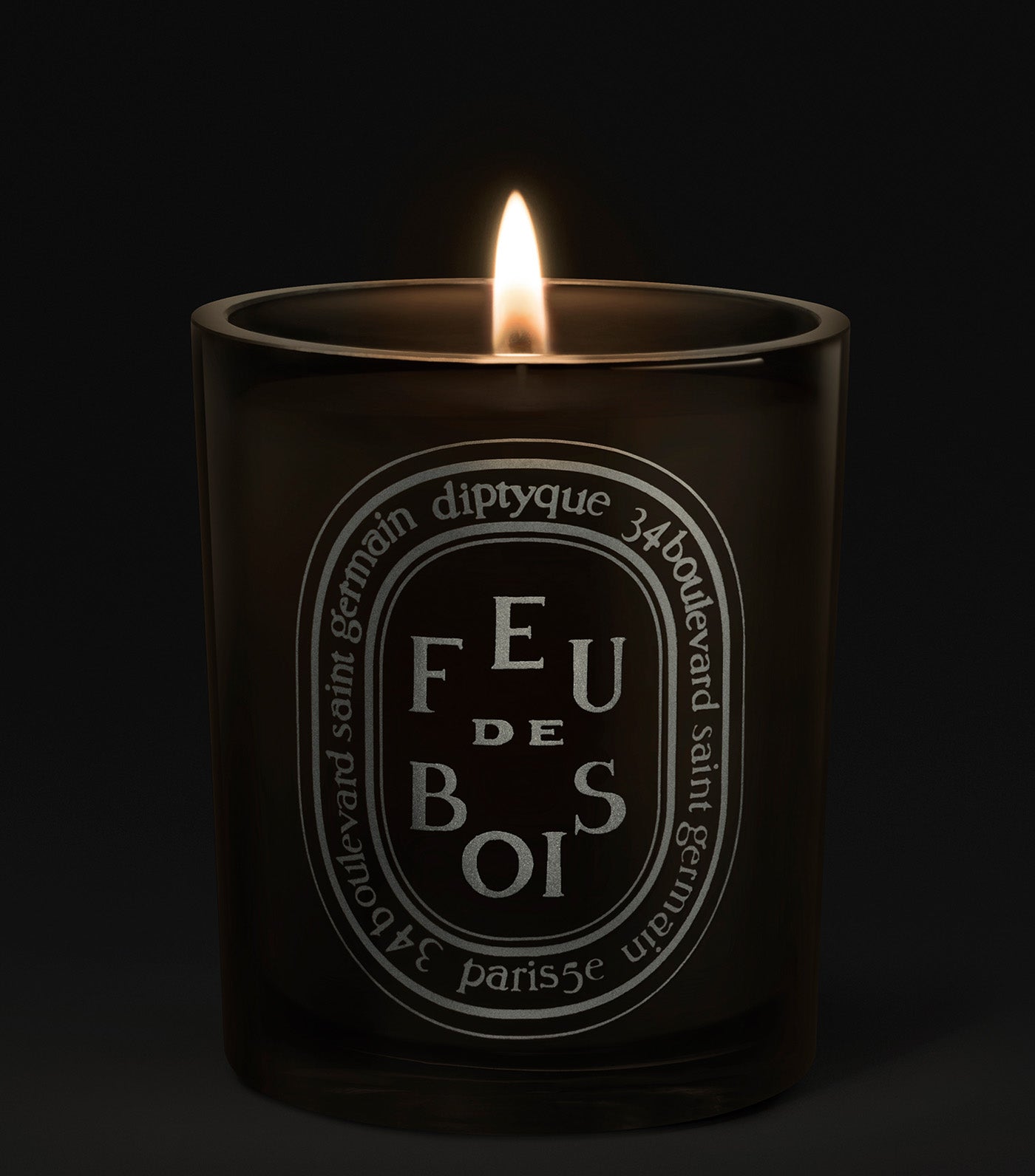 DIPTYQUE Feu De Bois / Wood Fire Medium Candle 