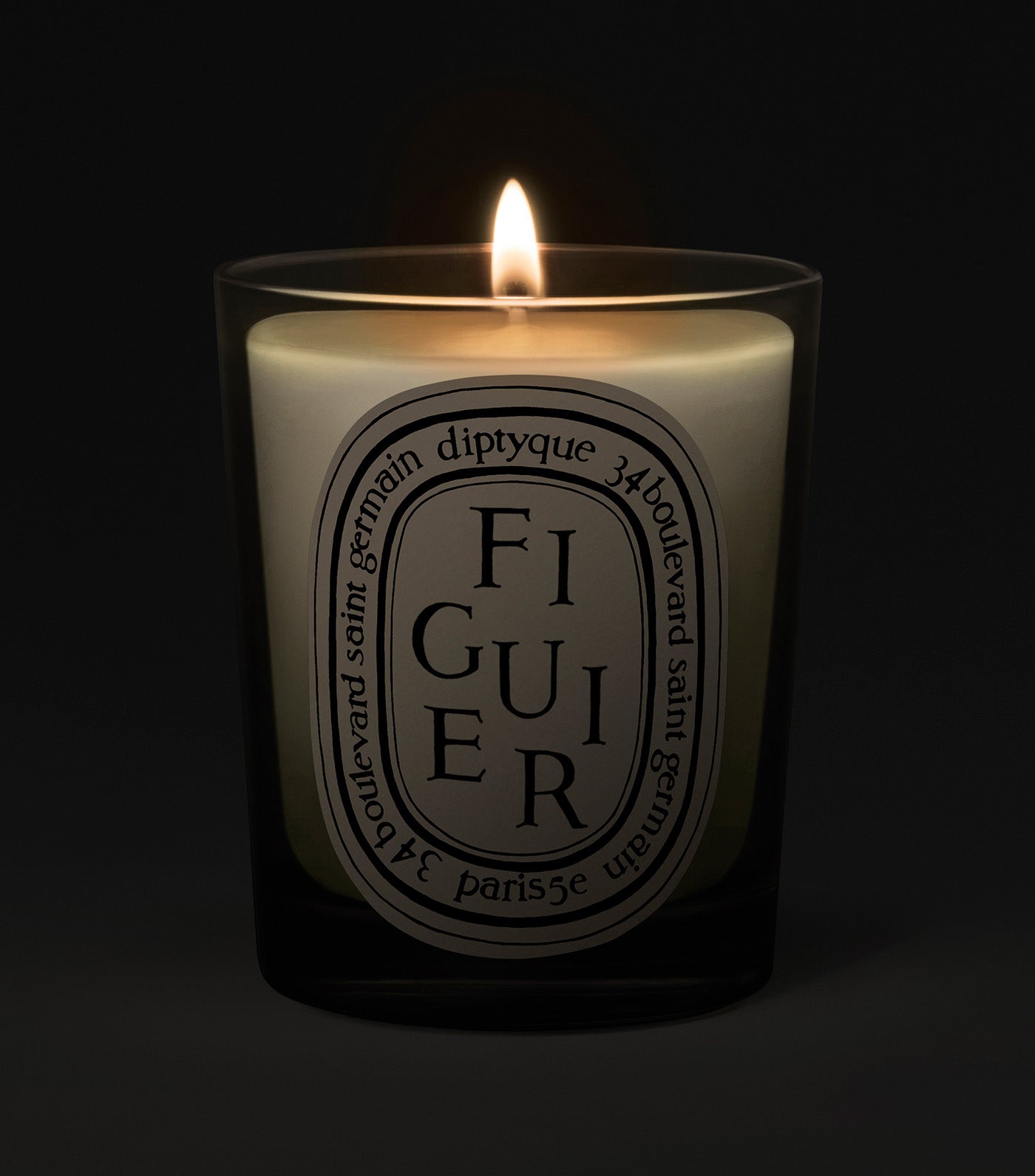 Figuier / Fig Tree Candle