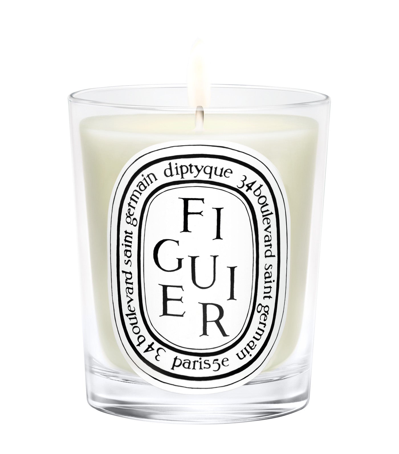 Figuier / Fig Tree Candle