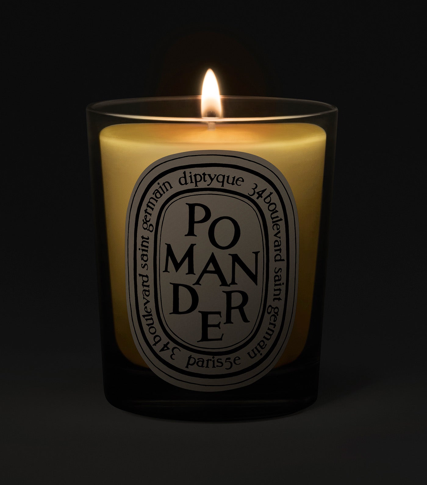 diptyque Pomander Candle 190g