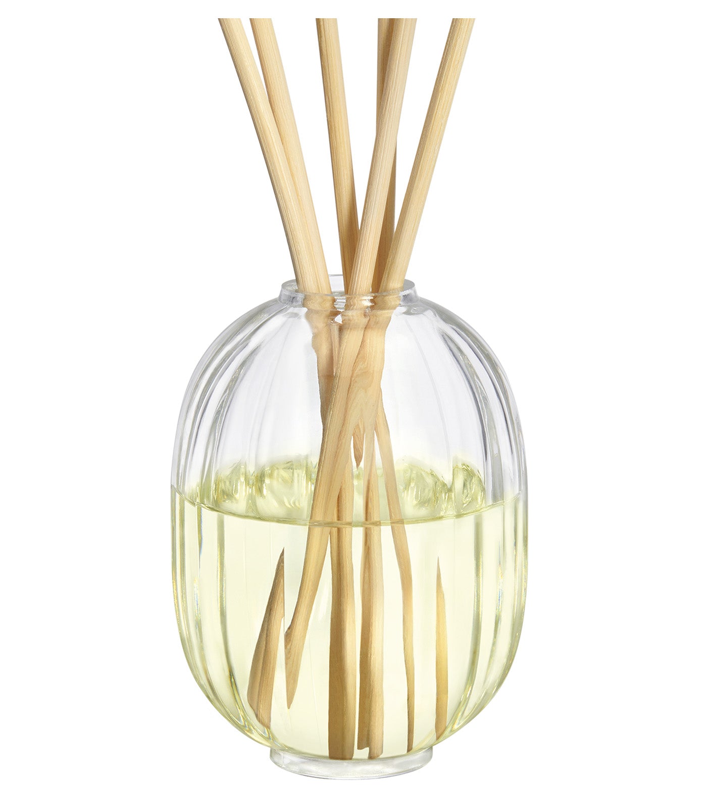 Figuier / Fig Tree Home Fragrance Diffuser